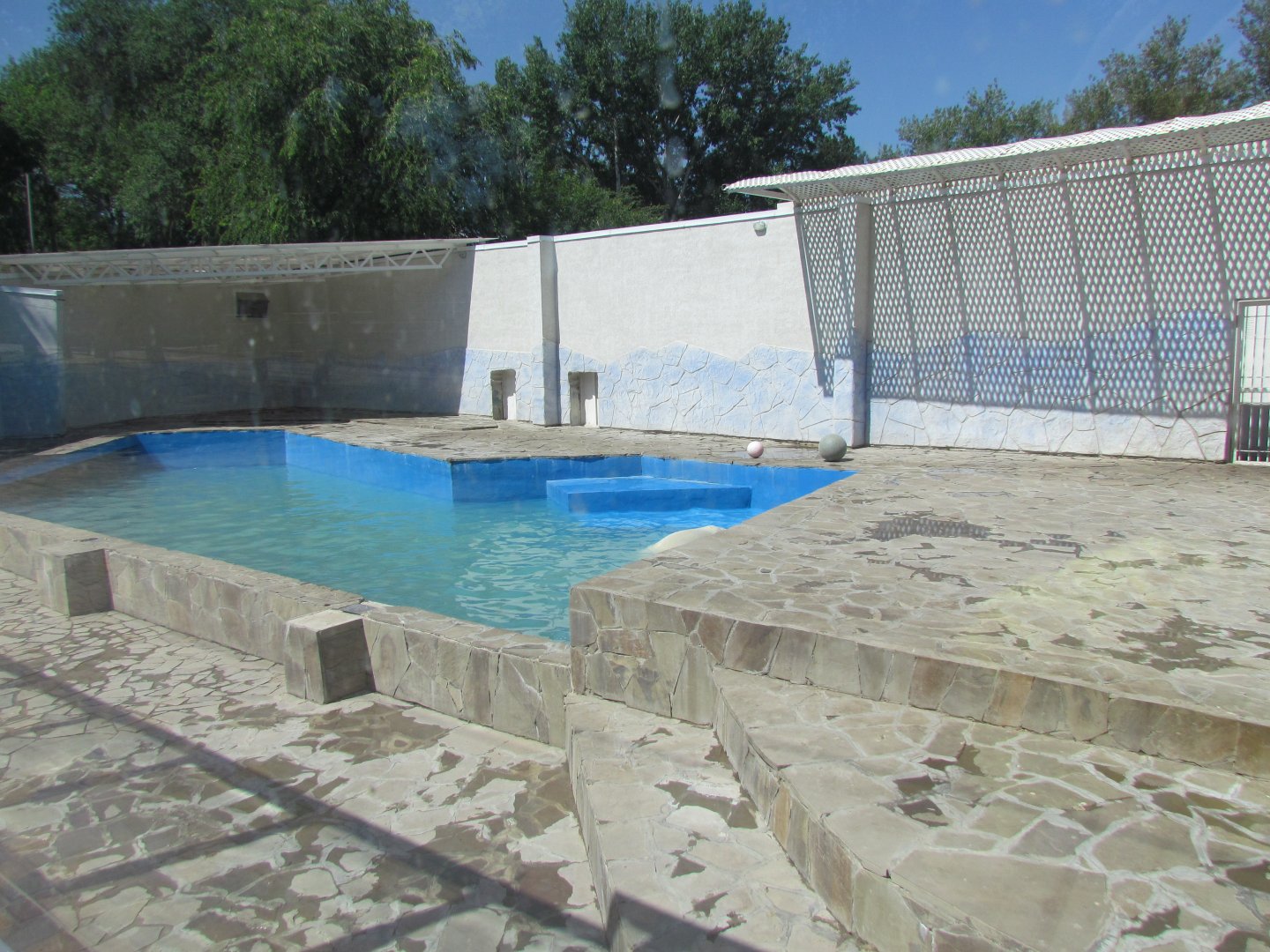 New polar bear exhibit