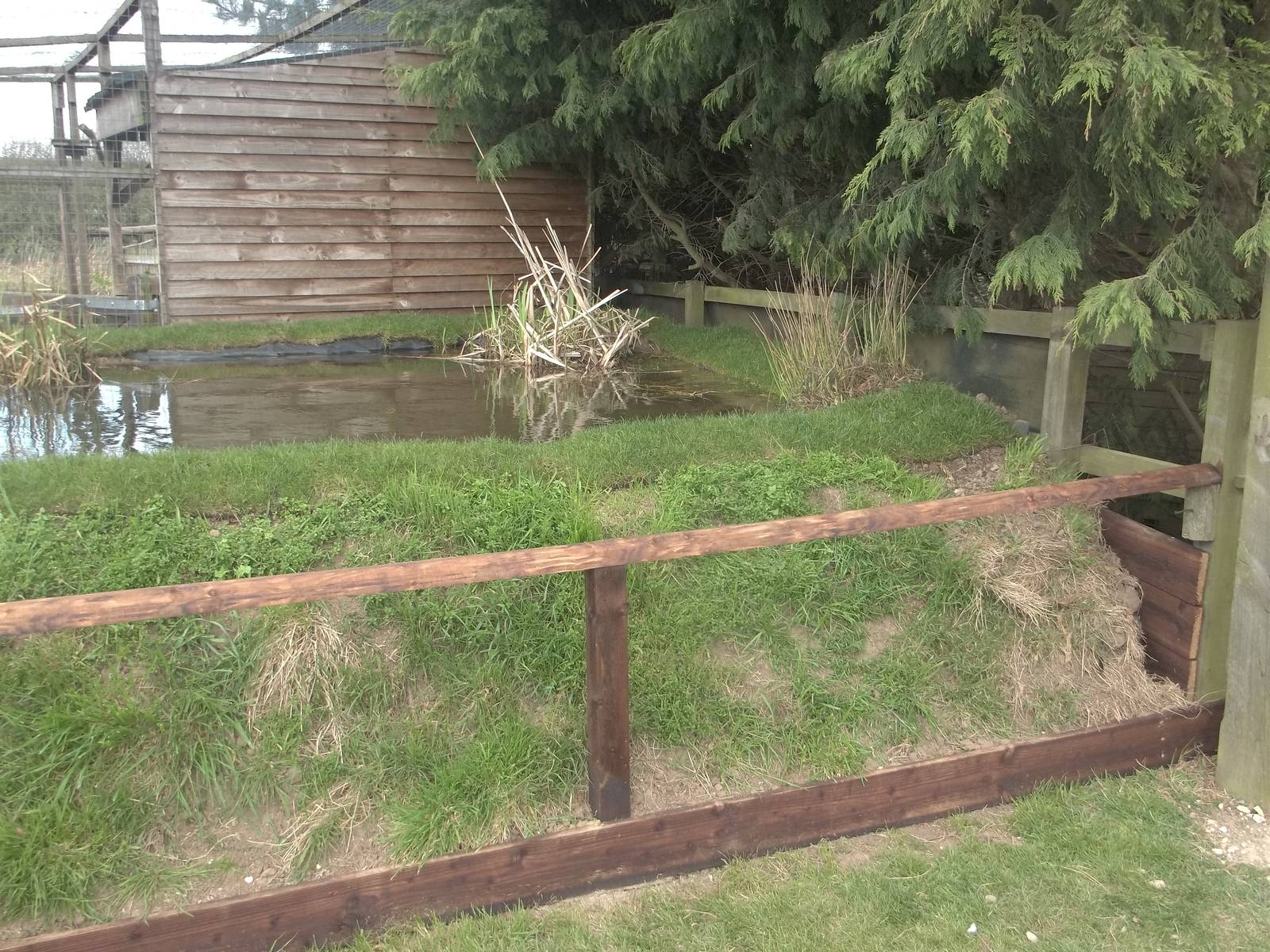 New pond completed for 2015 season, 14th April 2015