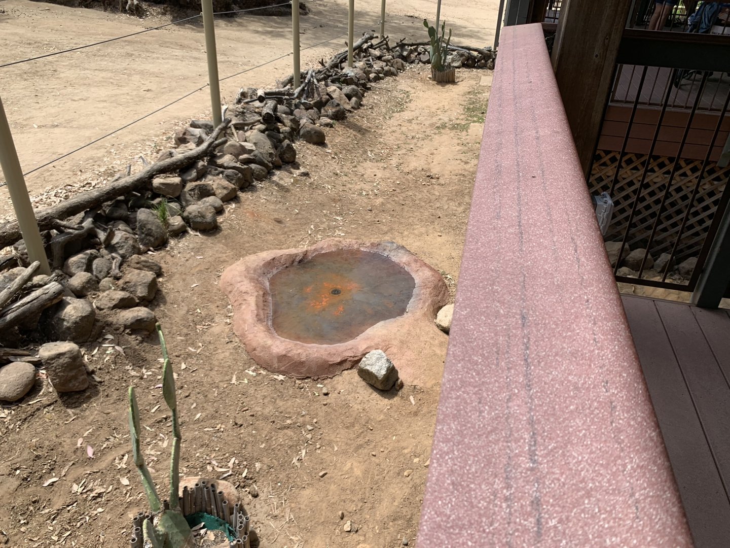 New pond in the tortoise exhibit
