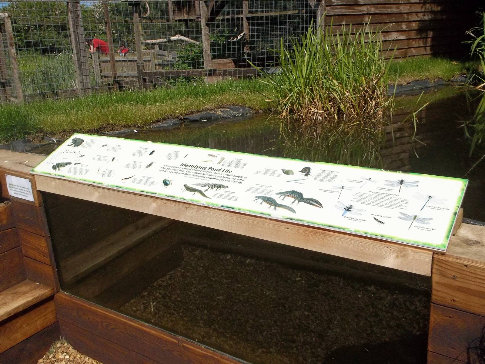 New pond signage, 9th June 2015