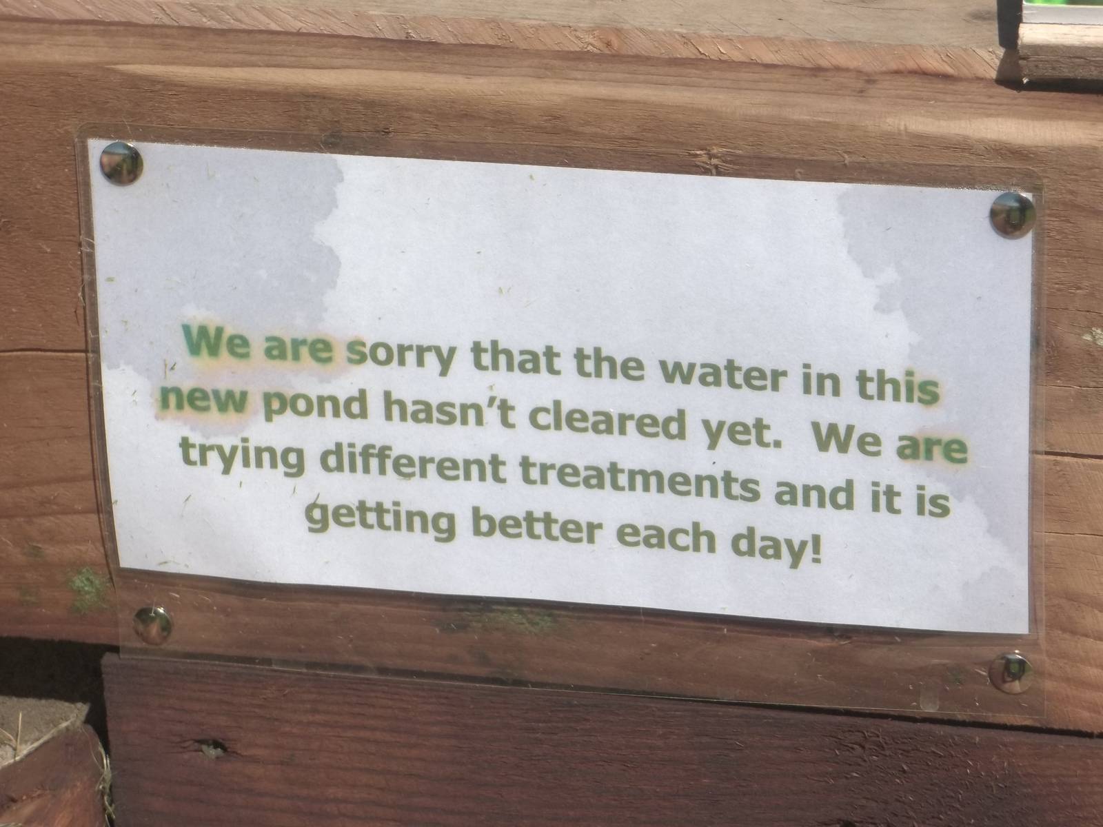 New pond signage, 9th June 2015