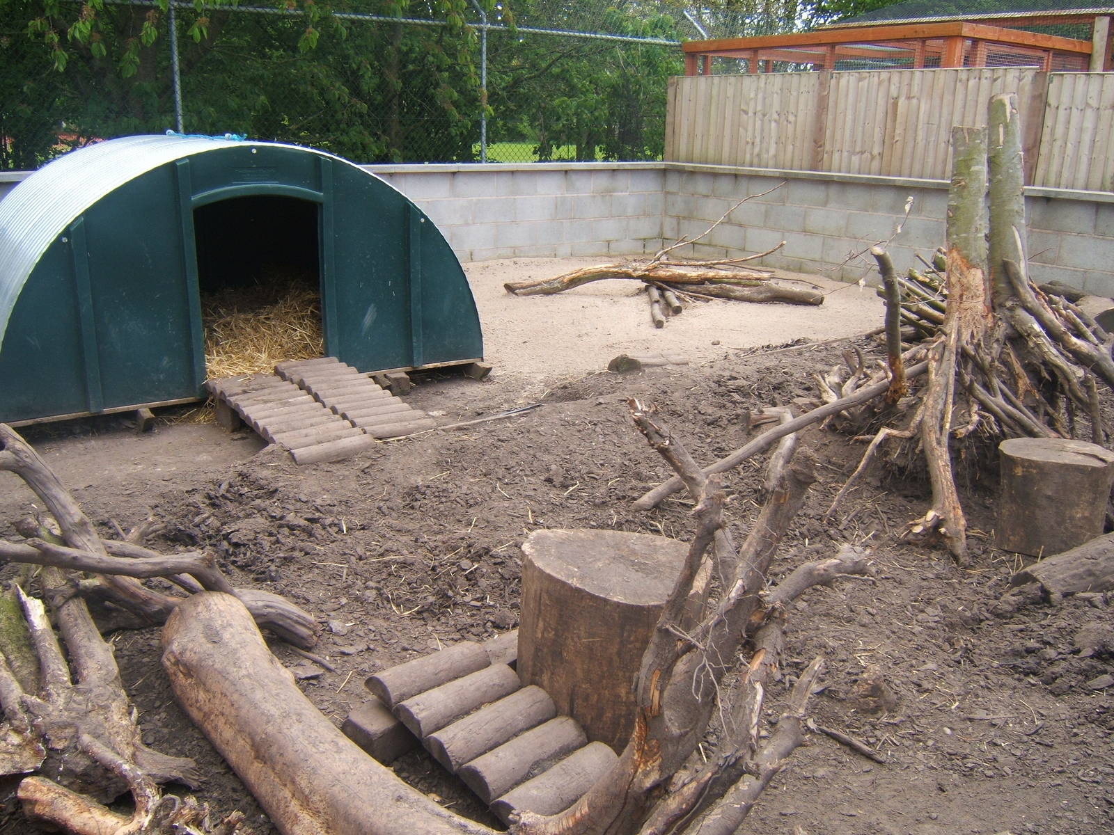 New Porcupine enclosure