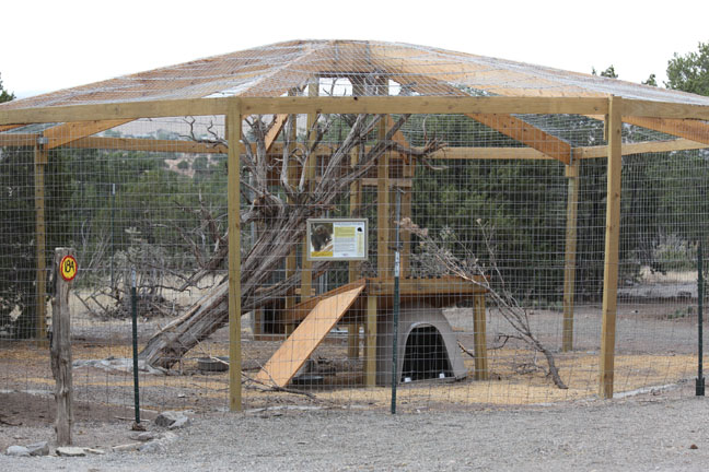 new porcupine exhibit