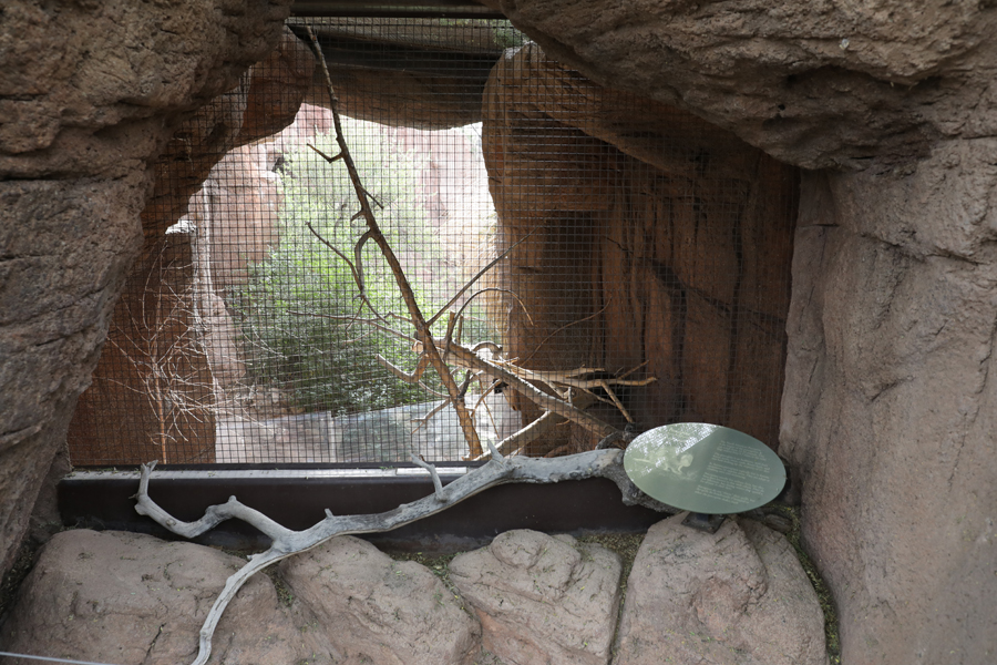 new porcupine exhibit
