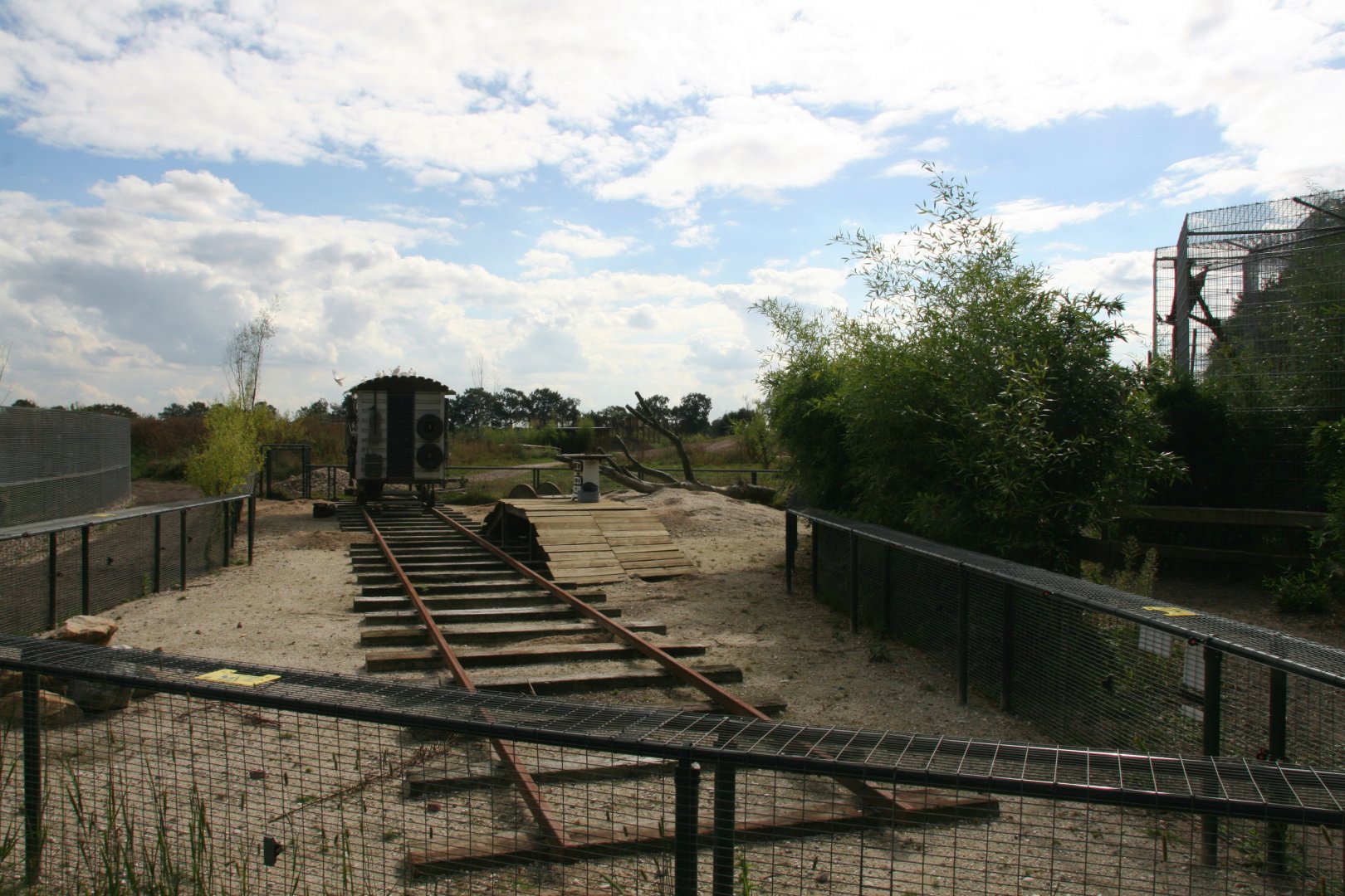New Prairie dog enclosure