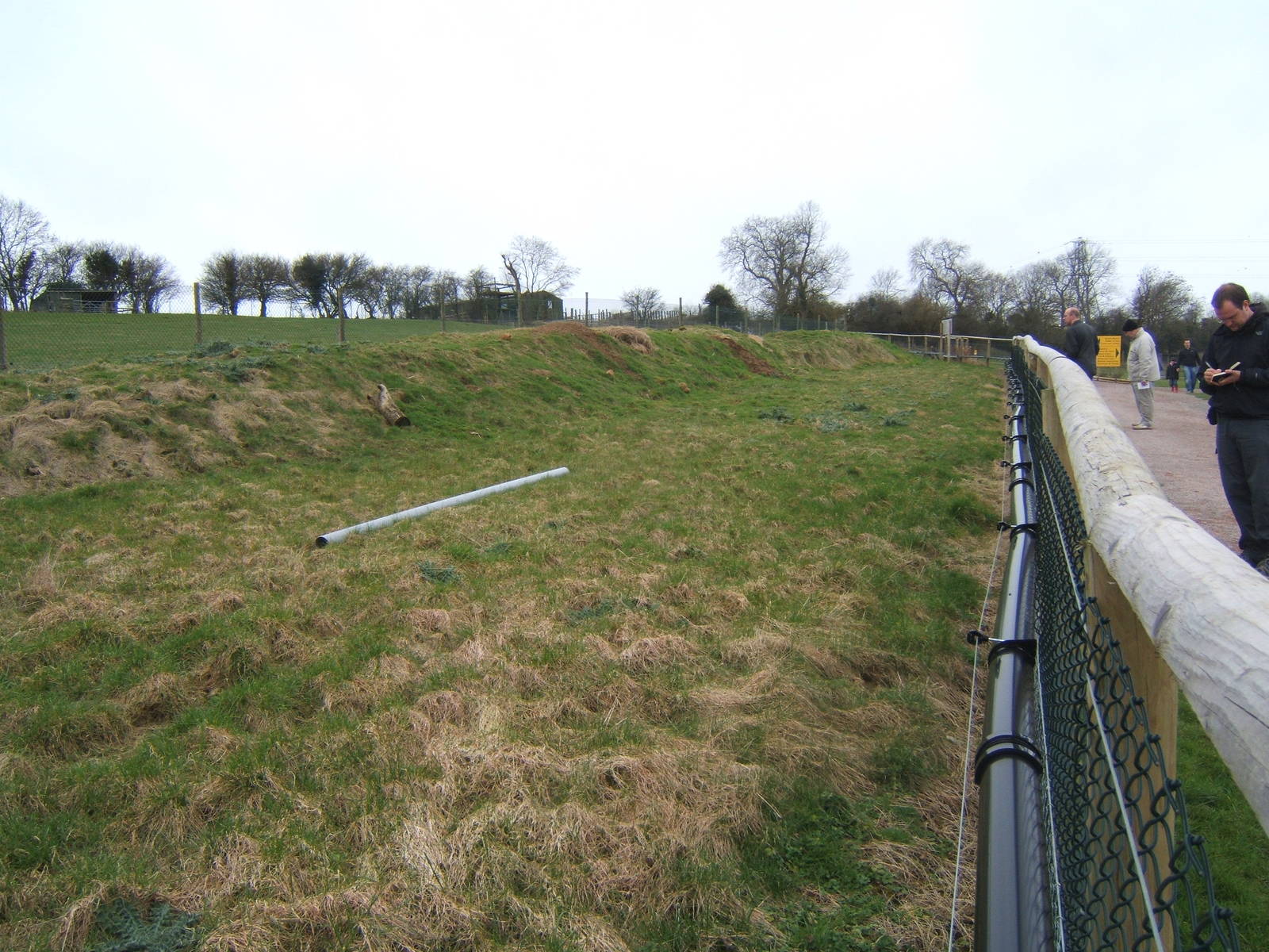 New Prairie Dog enclosure
