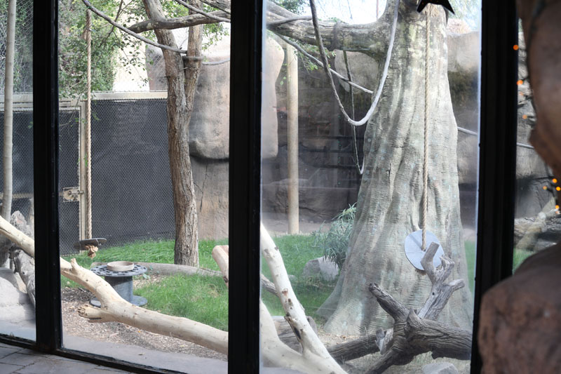 new primate exhibit (unoccupied)