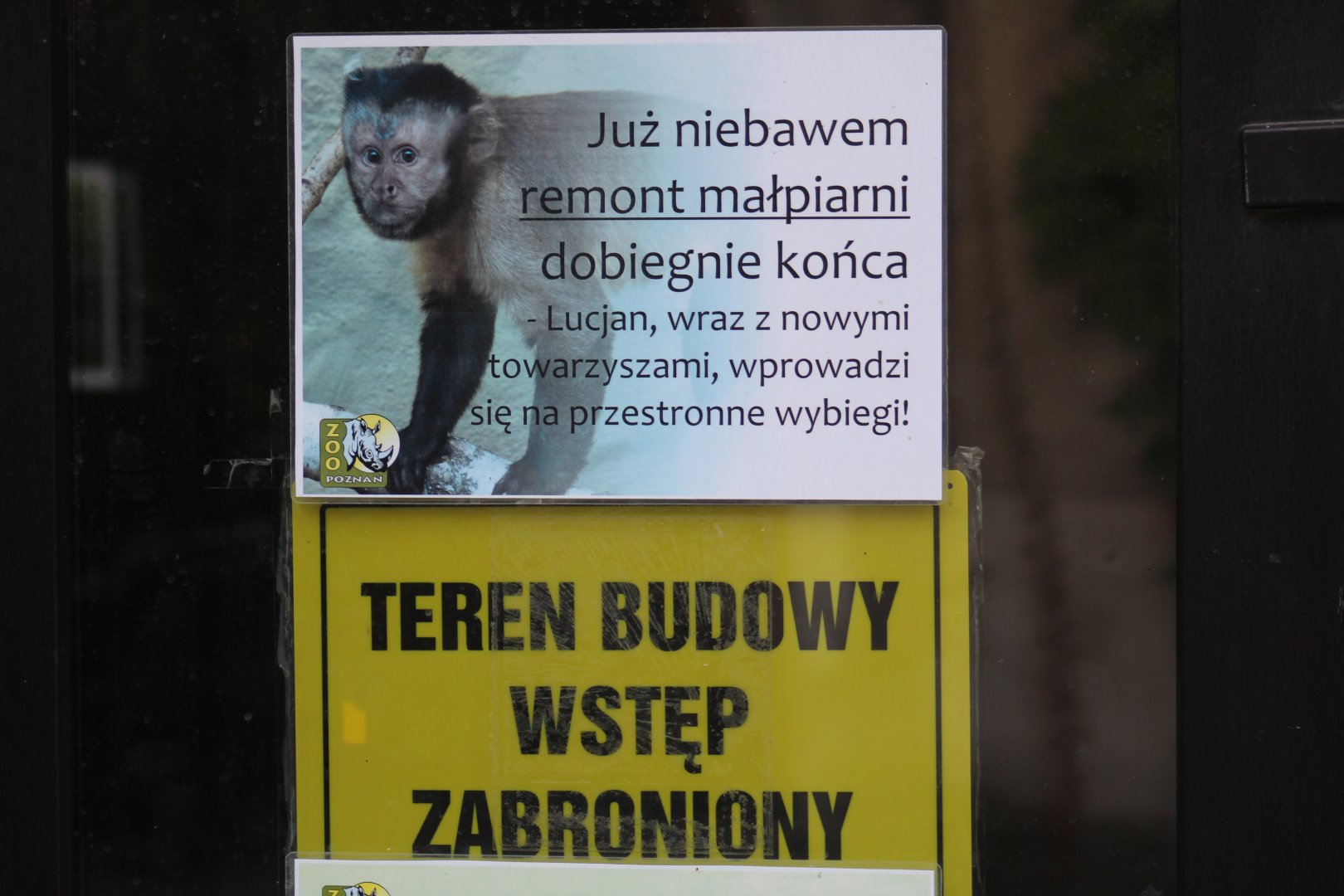 New Primate House Construction