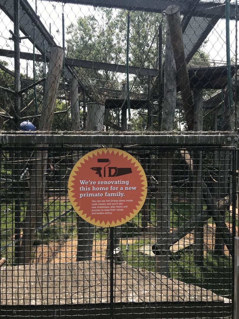 New Primate Species??