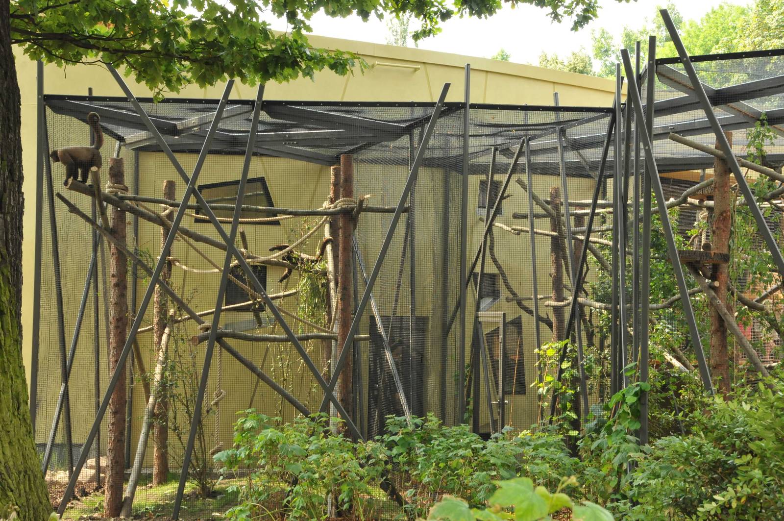 New Prof. Brandes-Haus