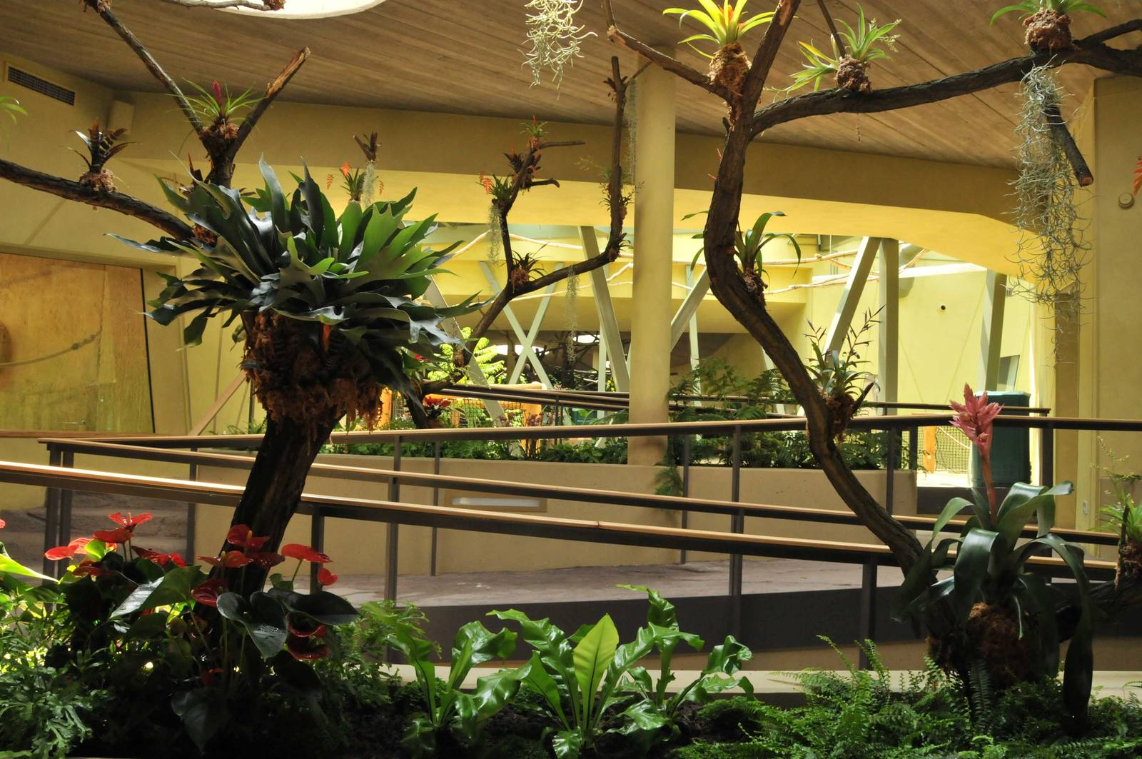 New Prof. Brandes-Haus