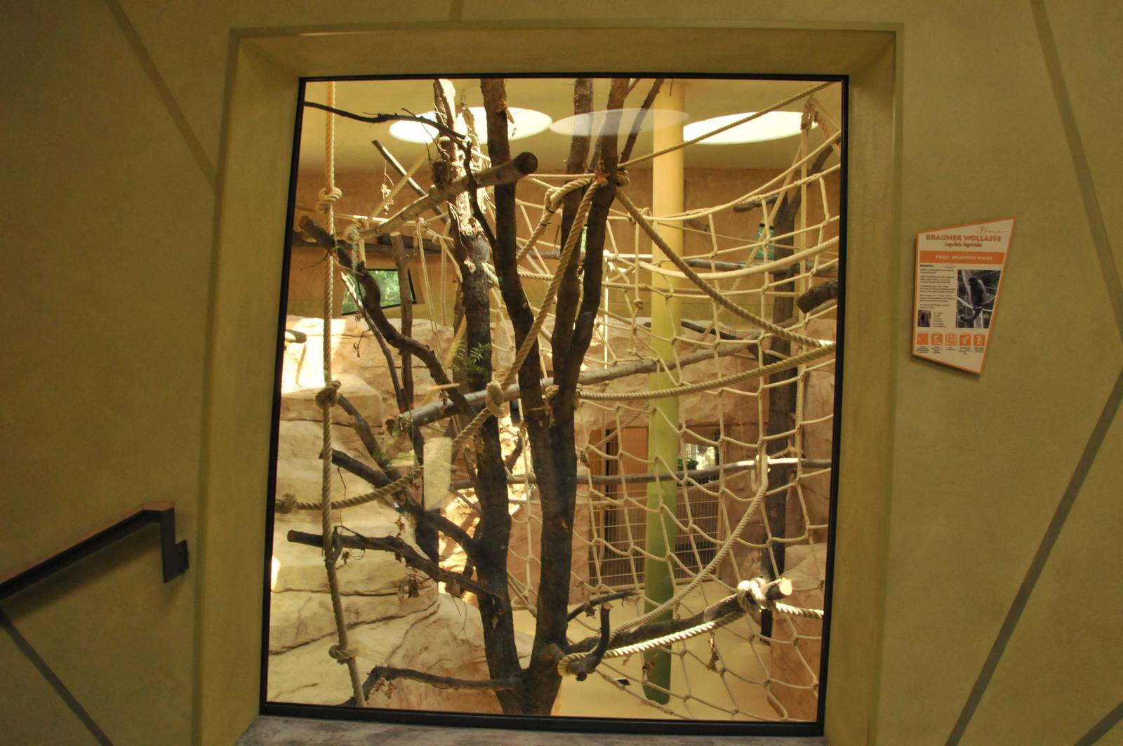 New Prof. Brandes-Haus