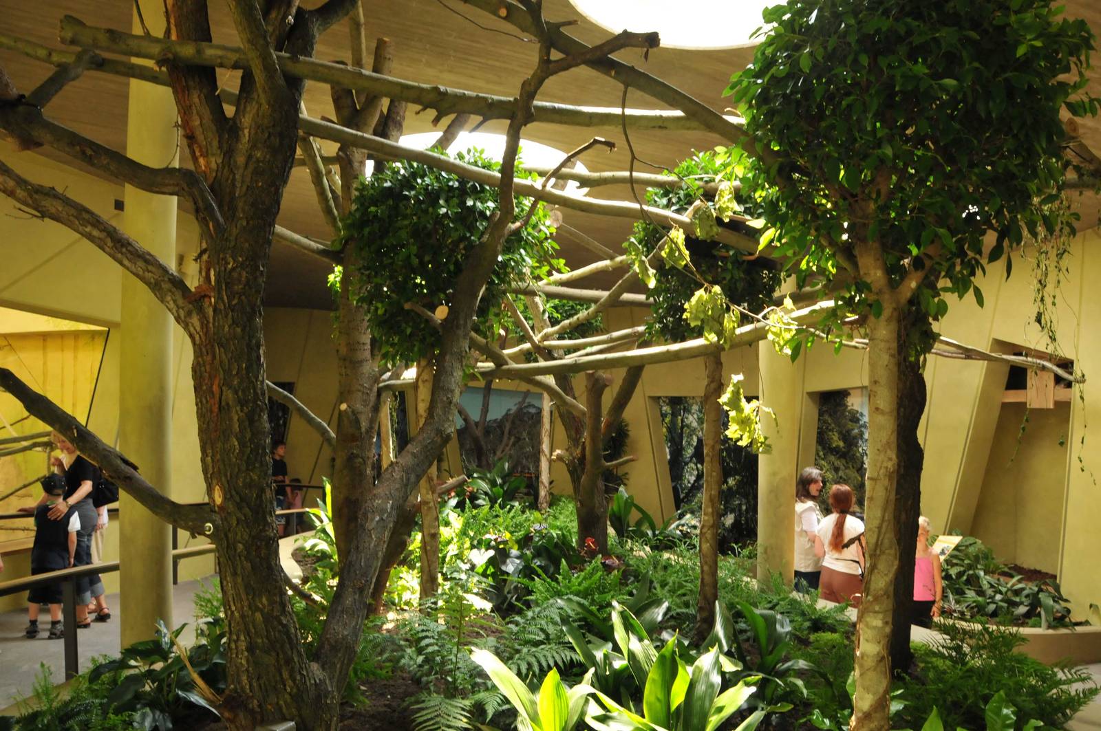 New Prof. Brandes-Haus