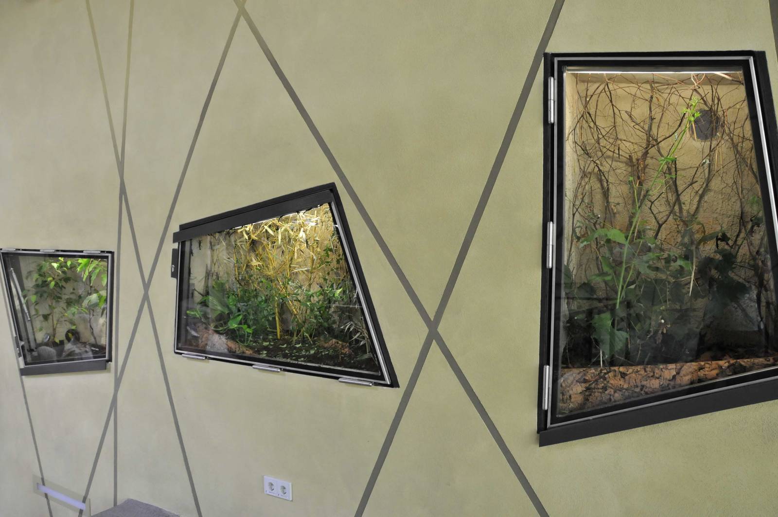 New Prof. Brandes-Haus