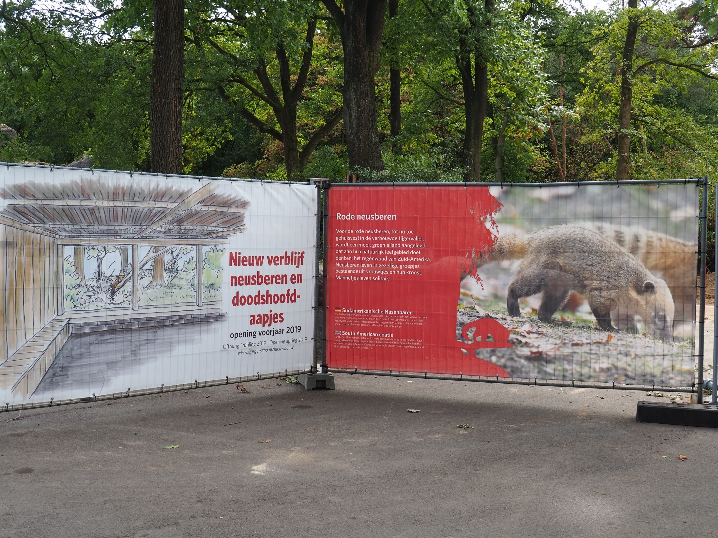New project for 2019 signs on fencing around construction site (Sep 16th, 2018)