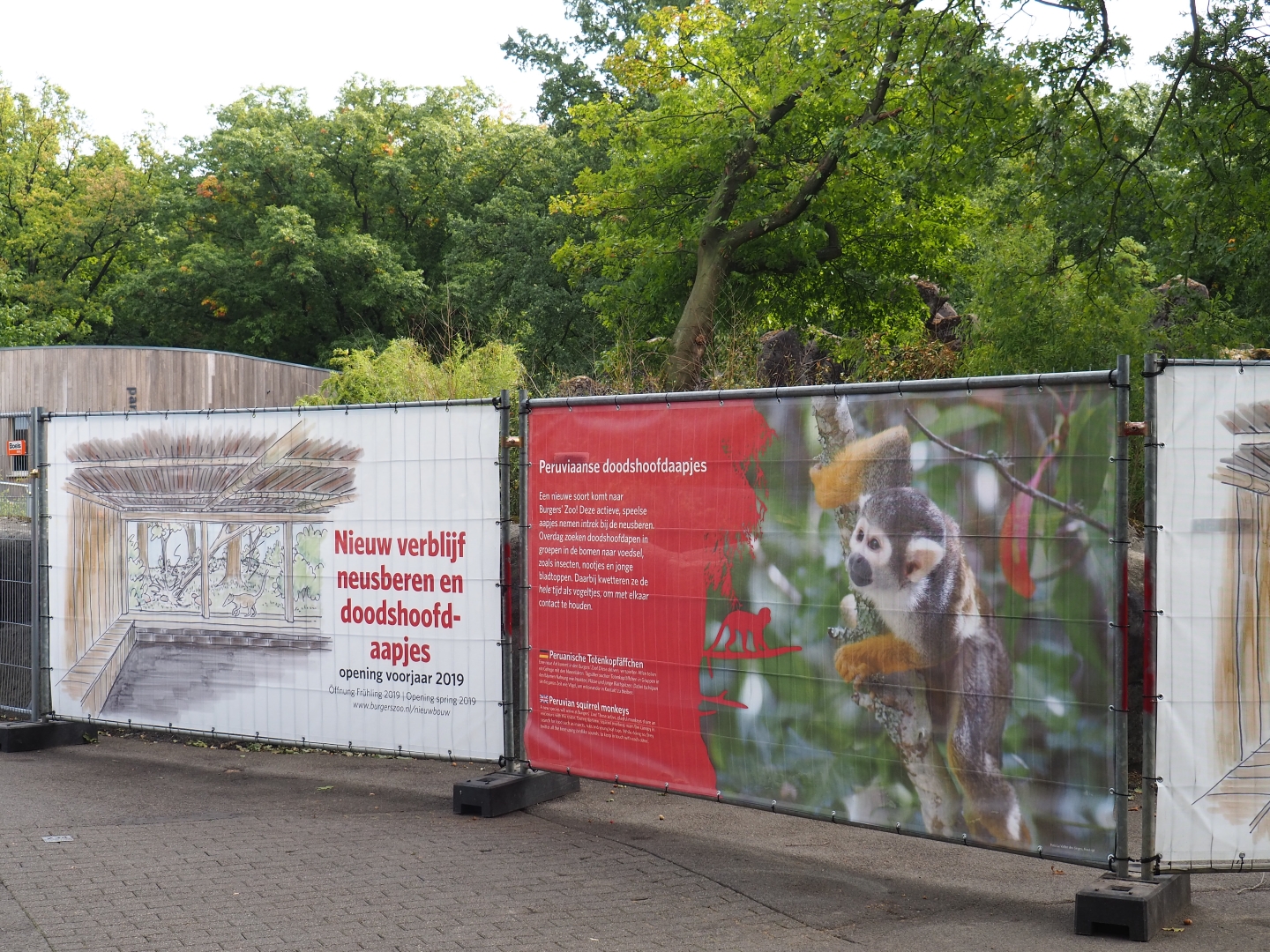 New project for 2019 signs on fencing around construction site (Sep 16th, 2018)