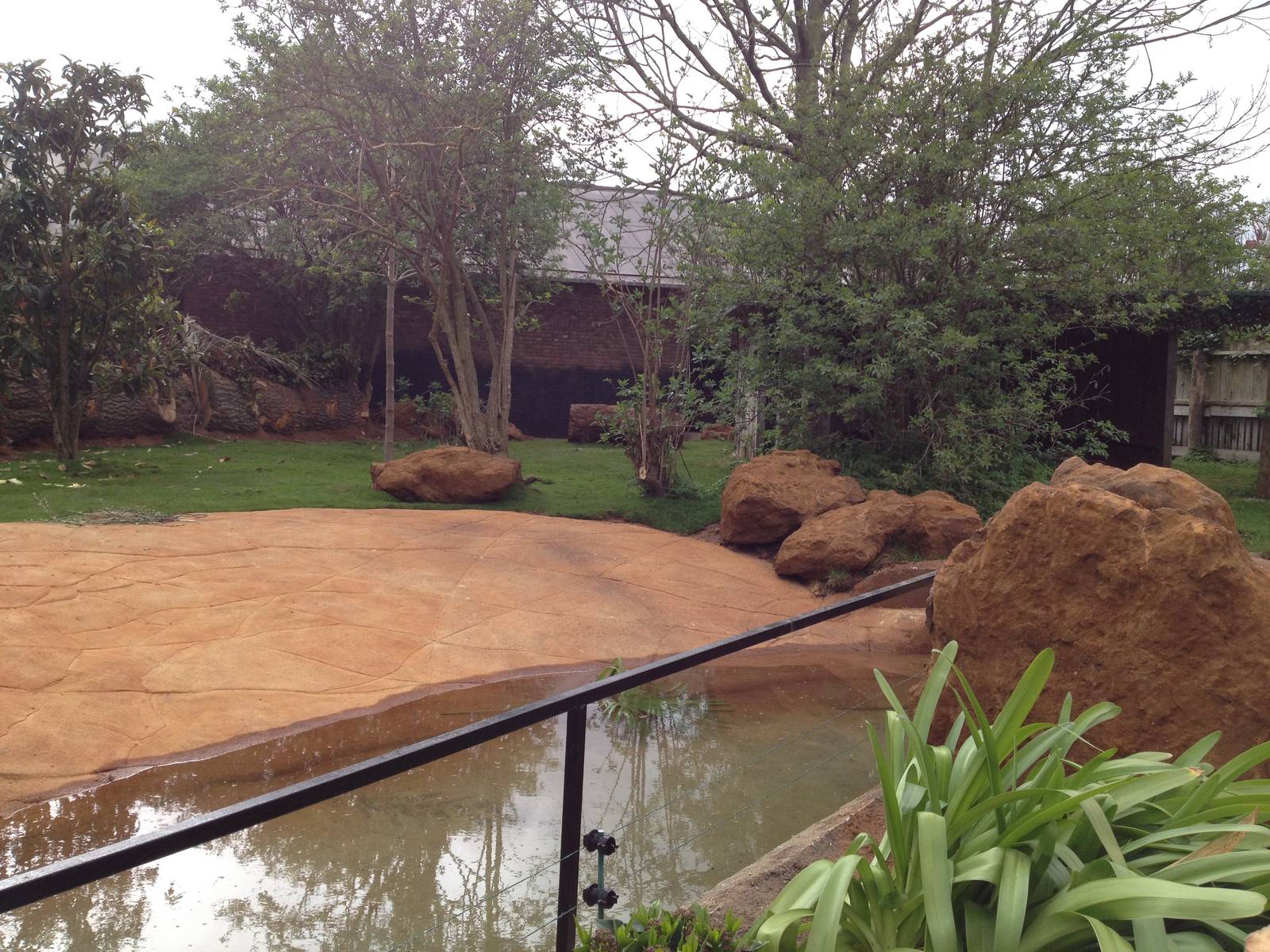 New pygmy hippo enclosure