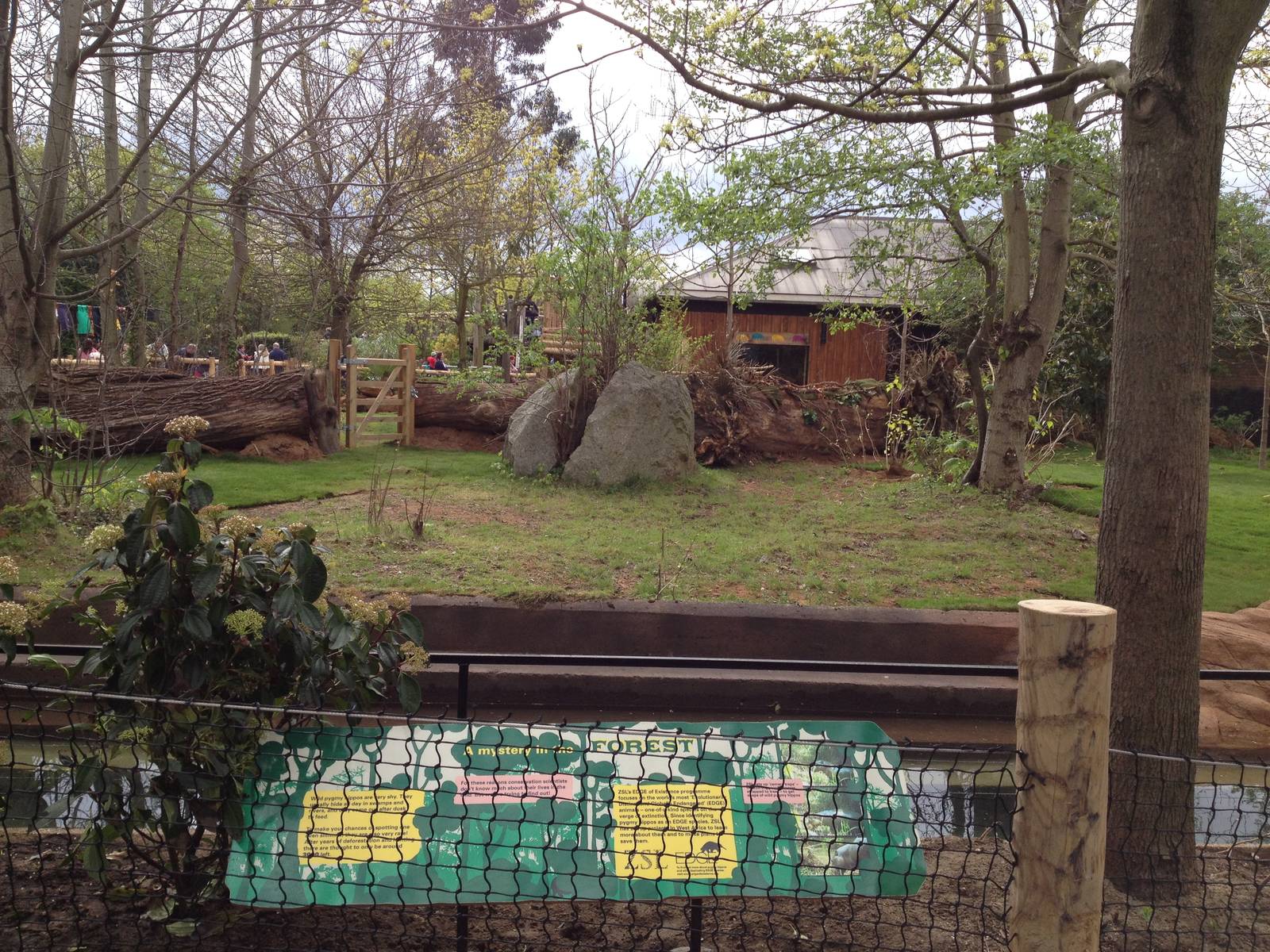 New pygmy hippo enclosure