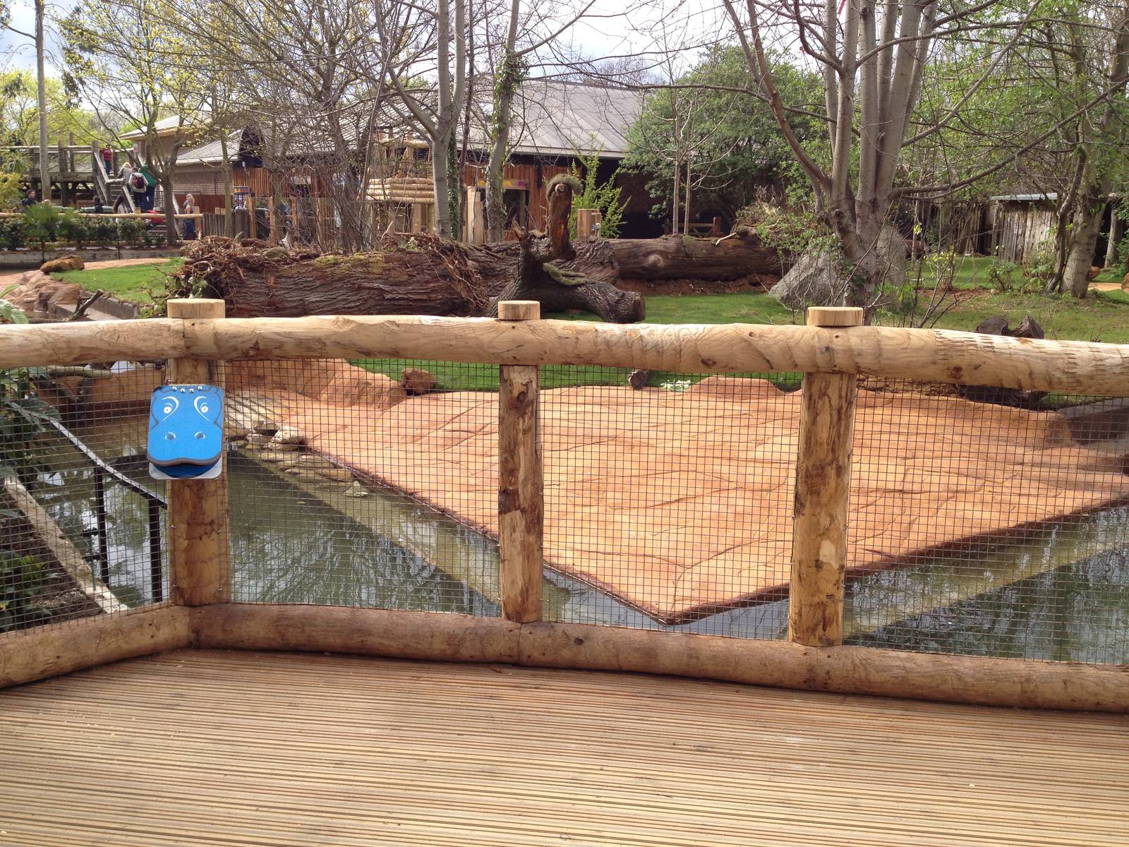 New pygmy hippo enclosure