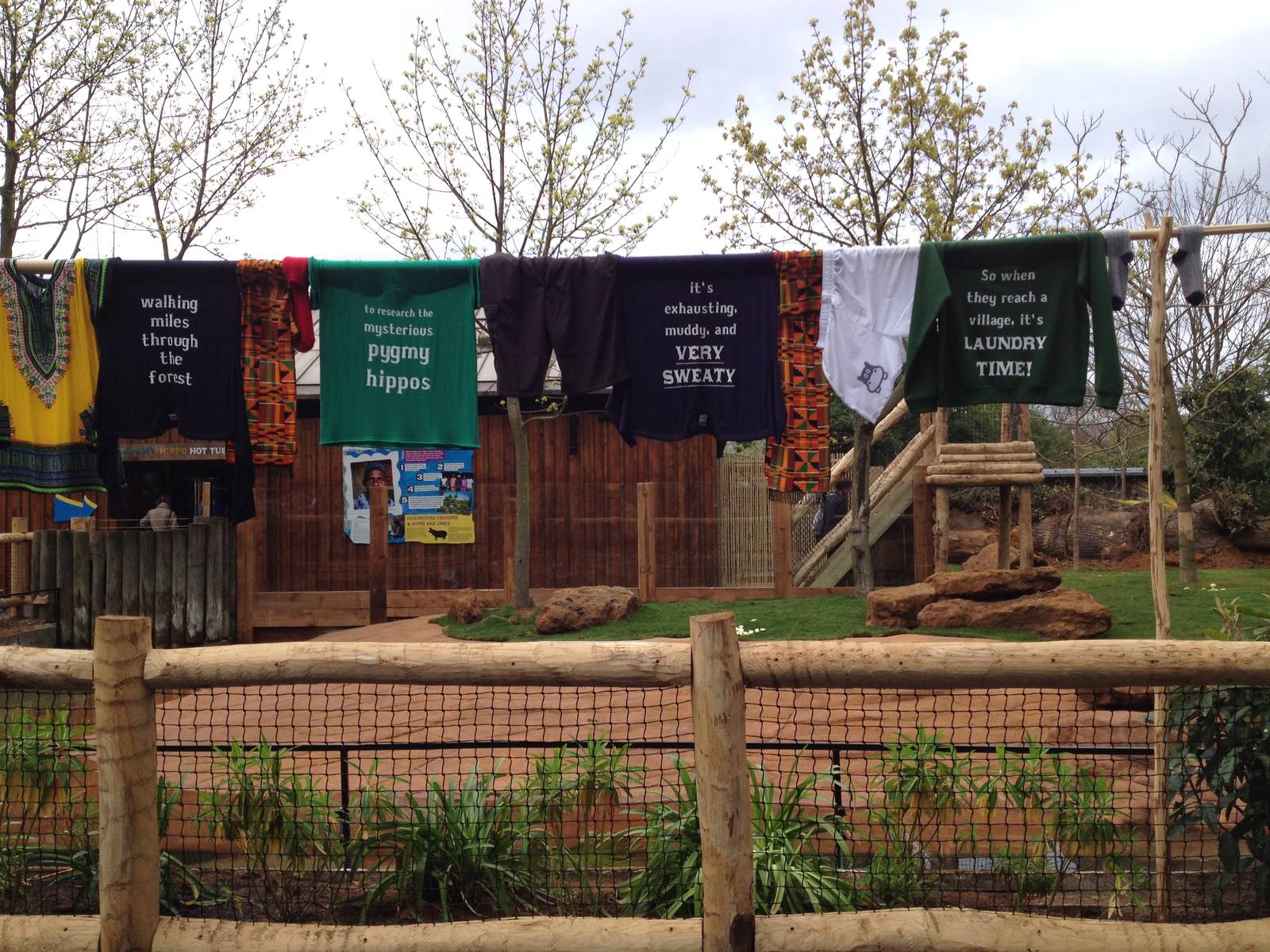 New pygmy hippo enclosure