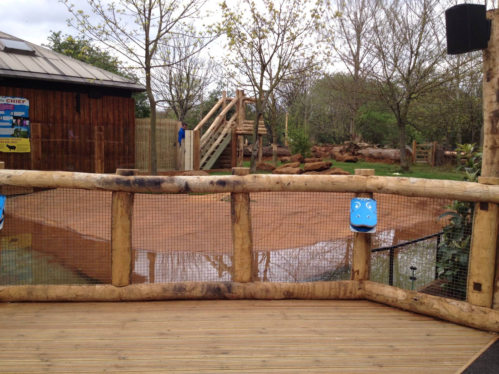 New pygmy hippo enclosure