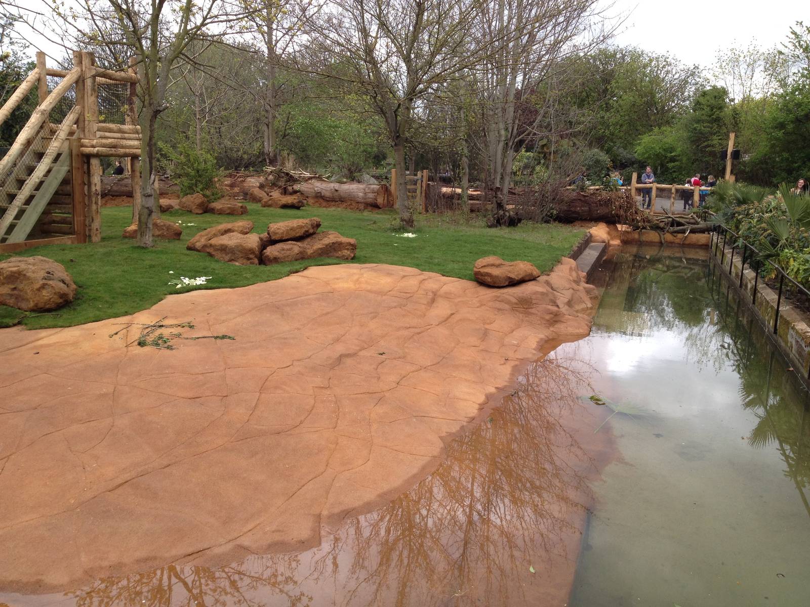 New pygmy hippo enclosure