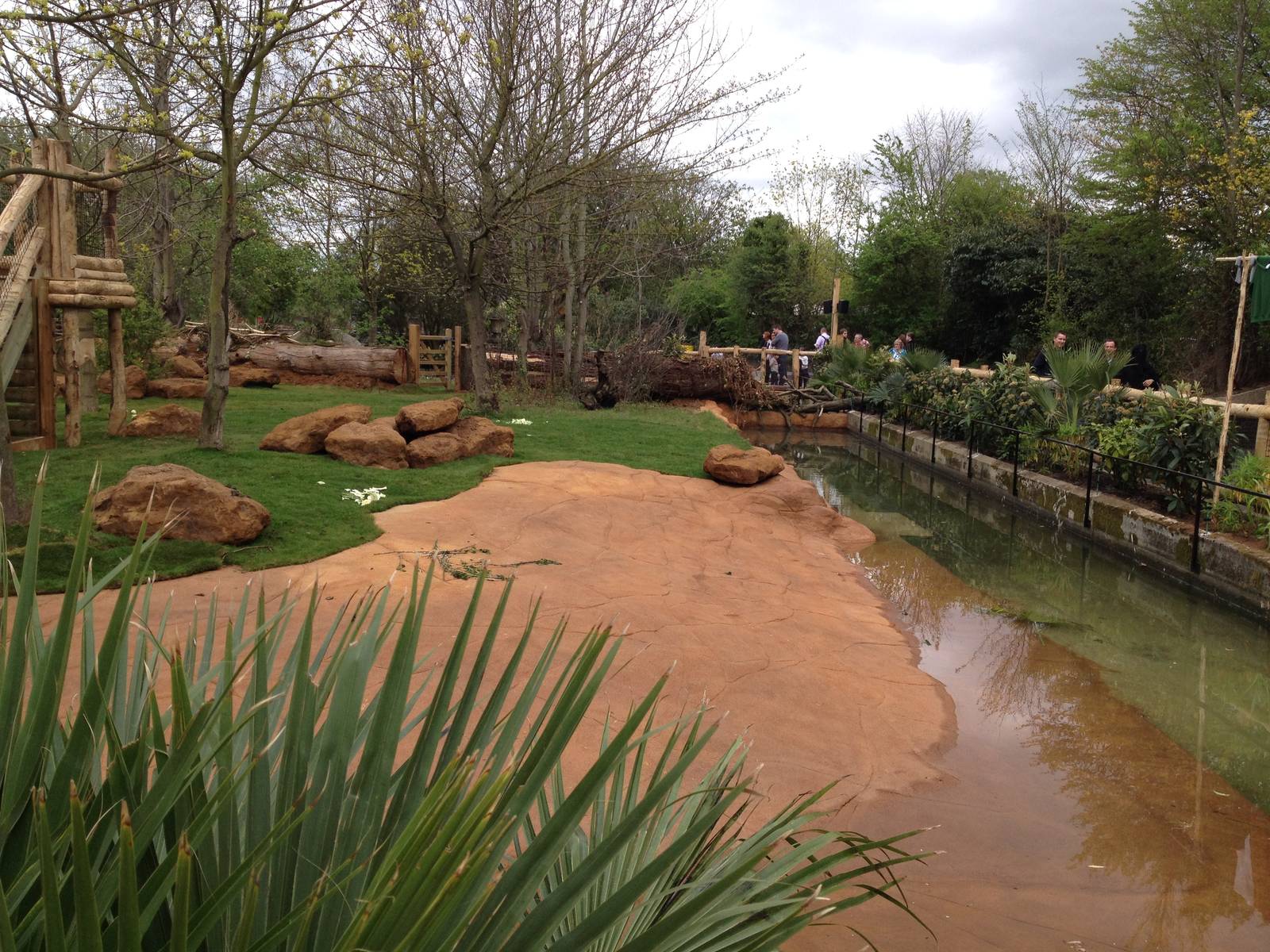 New pygmy hippo enclosure