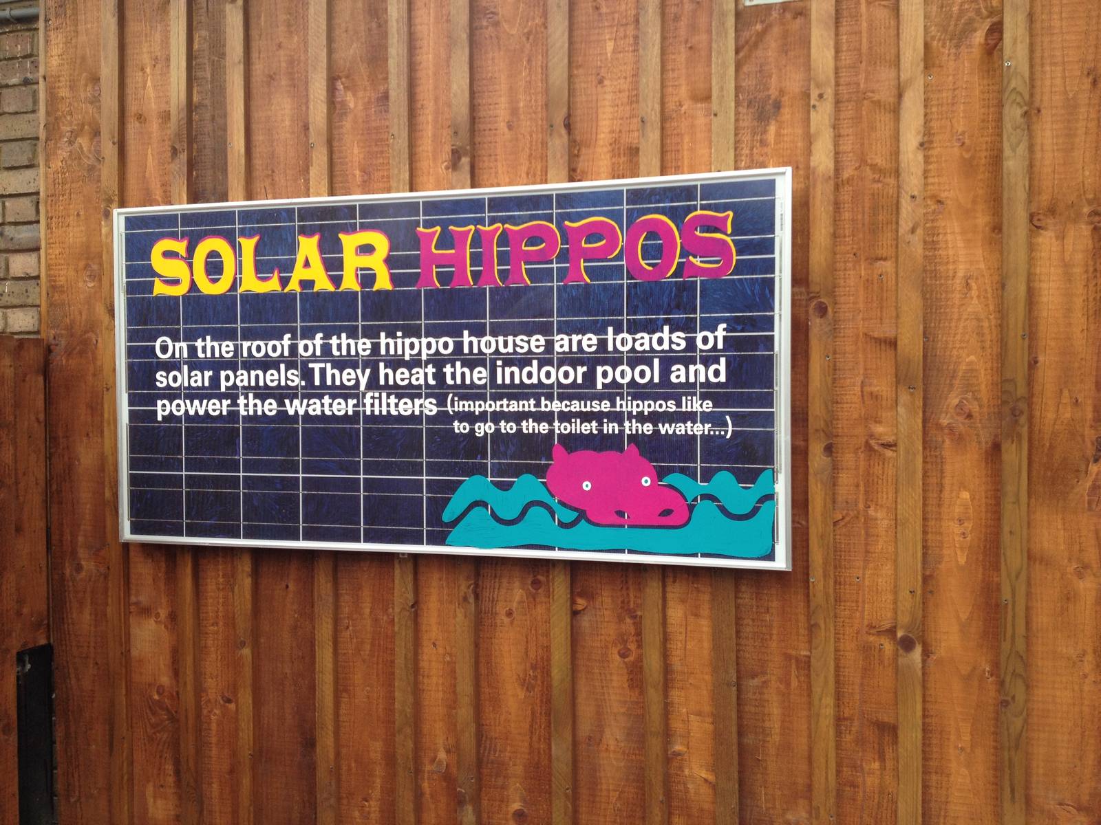 New pygmy hippo enclosure