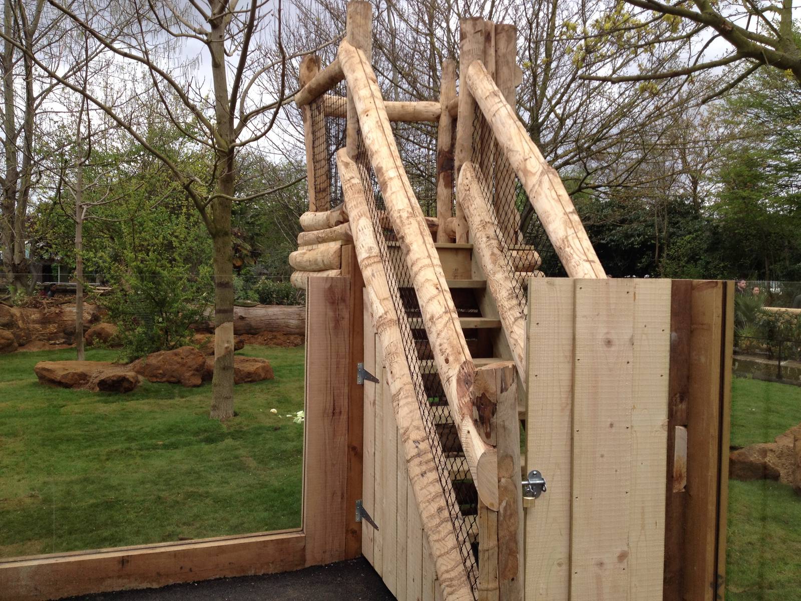 New pygmy hippo enclosure