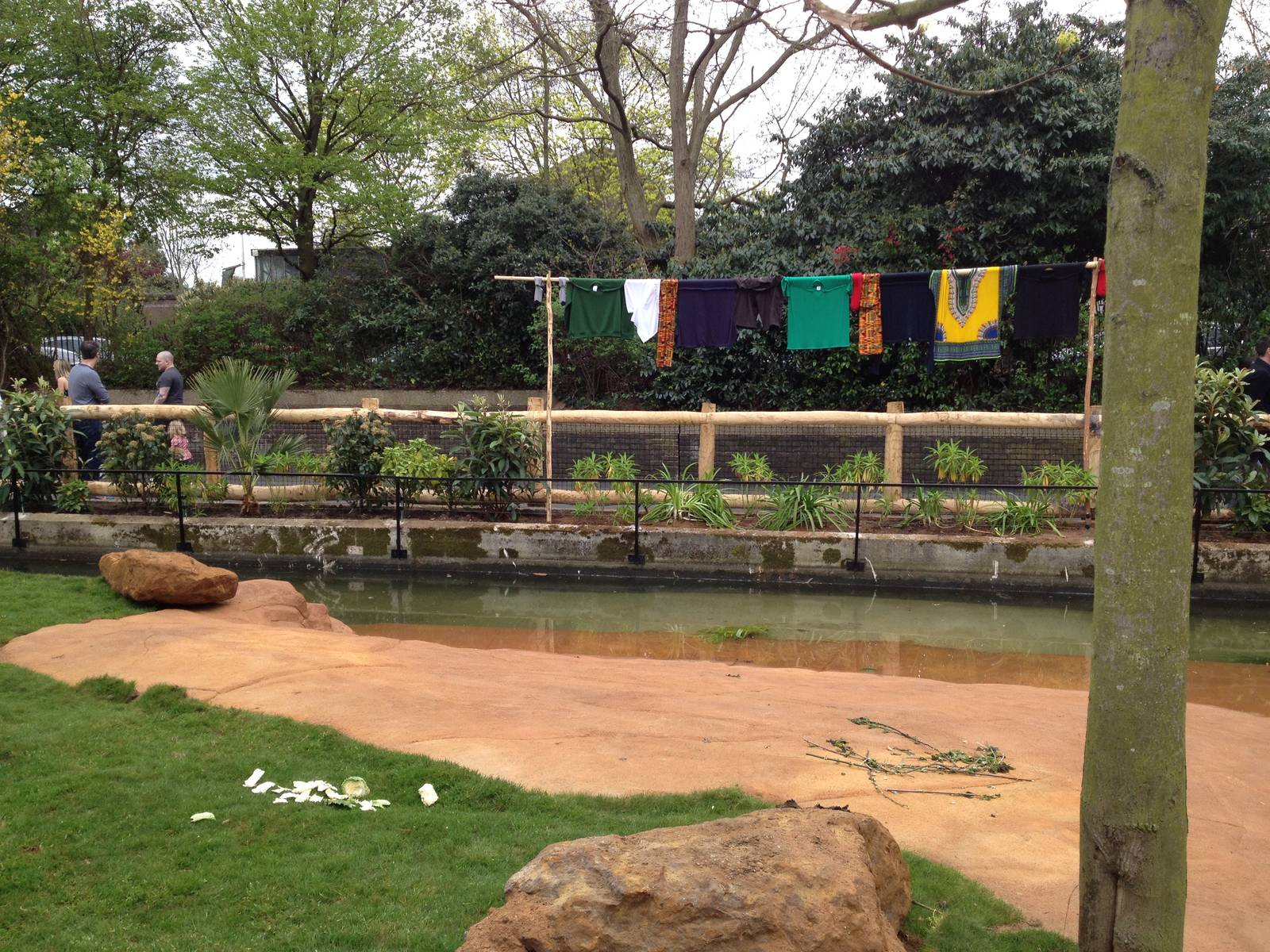 New pygmy hippo enclosure
