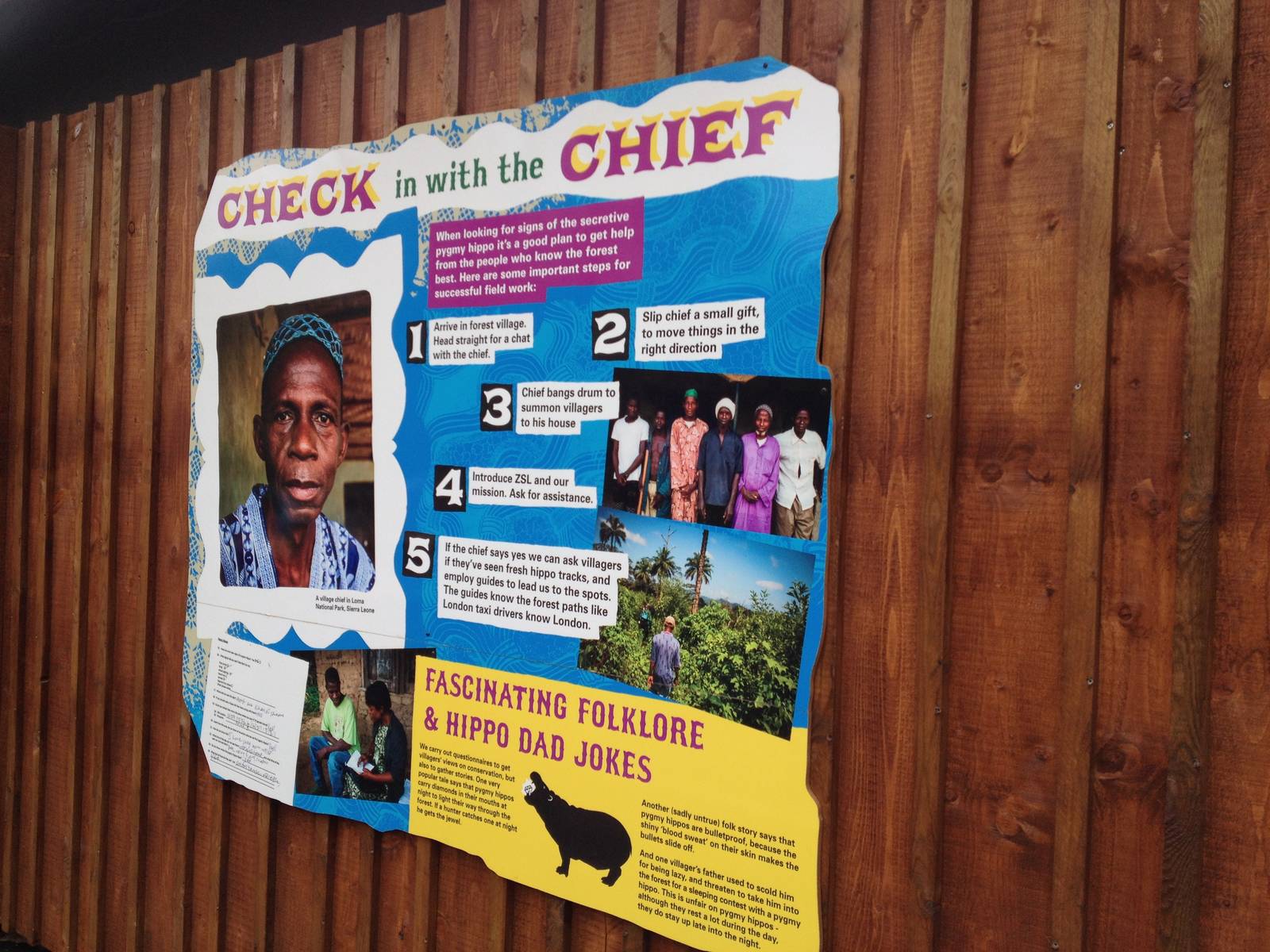 New pygmy hippo enclosure