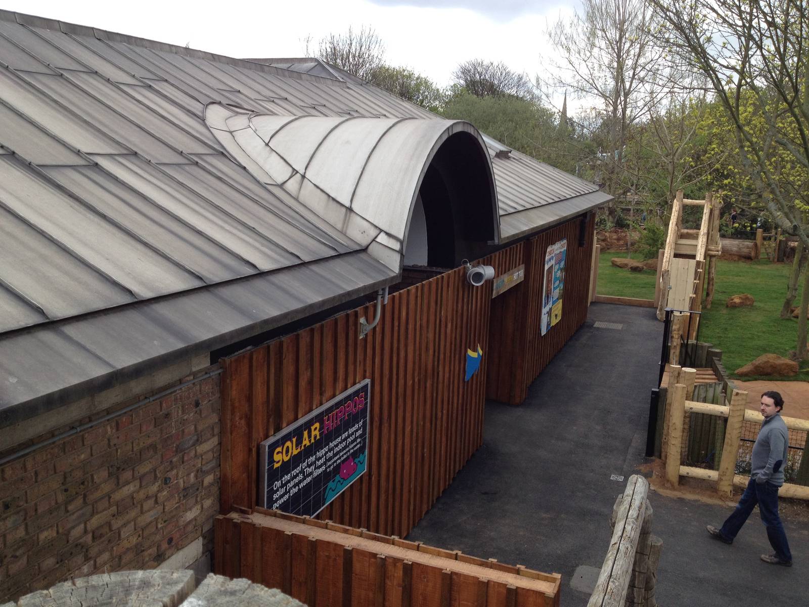 New pygmy hippo enclosure