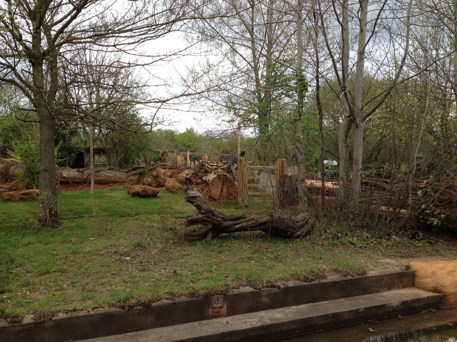 New pygmy hippo enclosure