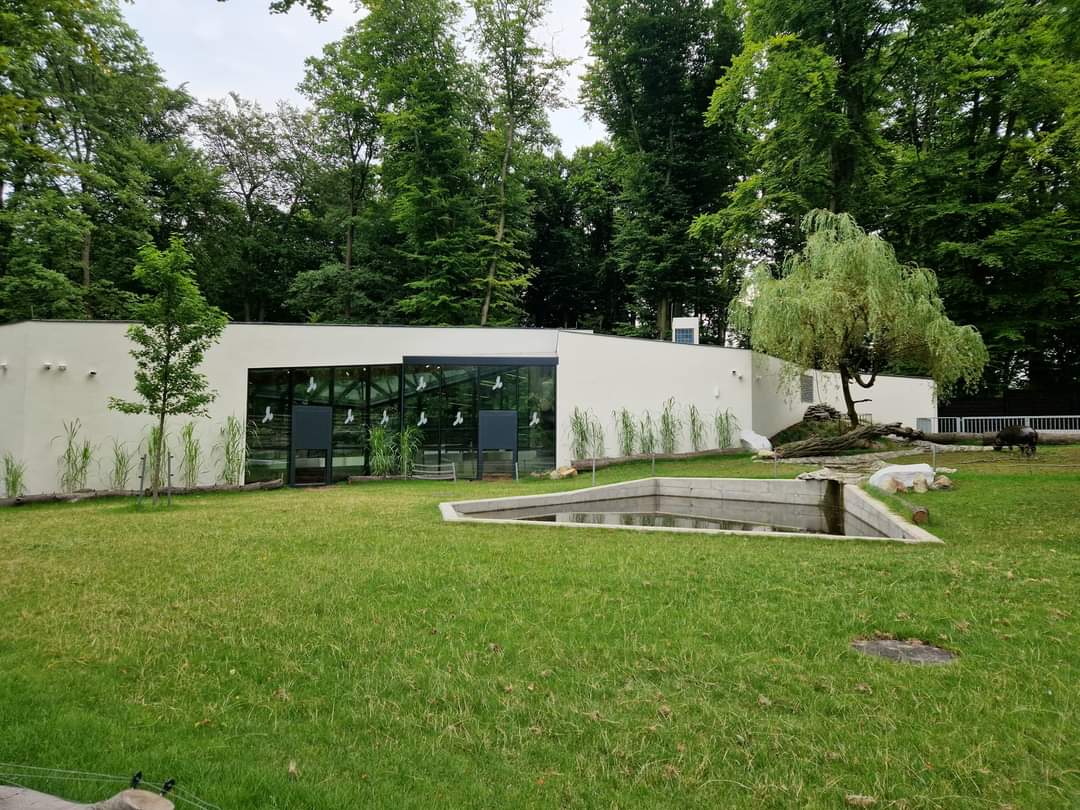 New Pygmy hippo facility