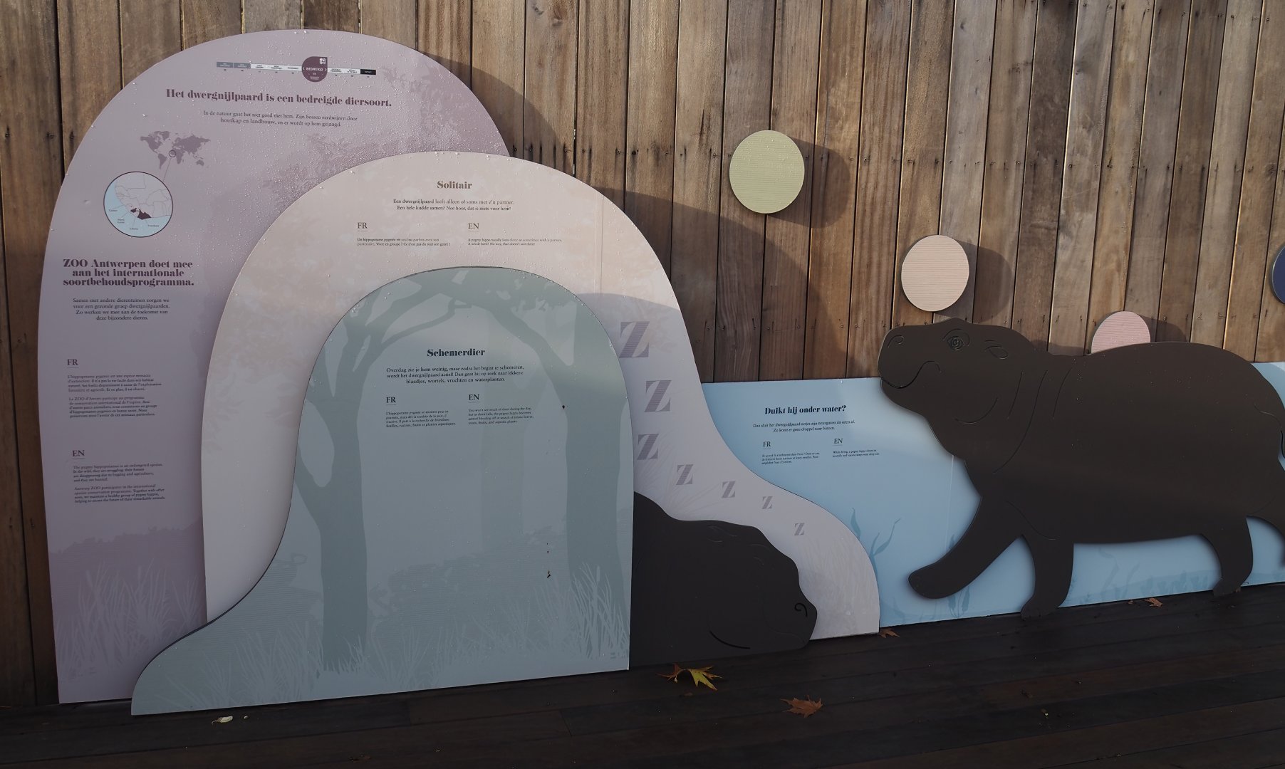 New pygmy hippopotamus signage, 2025-11-30
