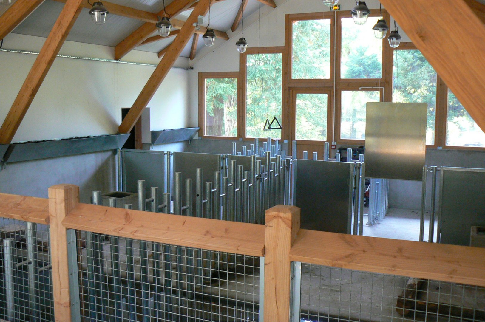 New pygmy hippos' house opened in 2017