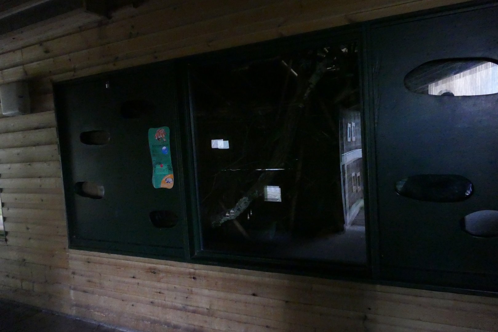 New Pygmy Slow Loris enclosure, December 2018