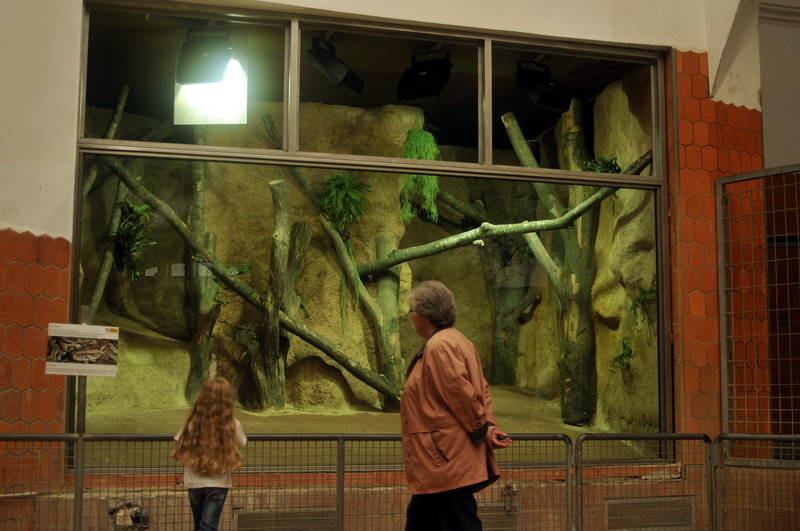 New python-exhibit at munich zoo