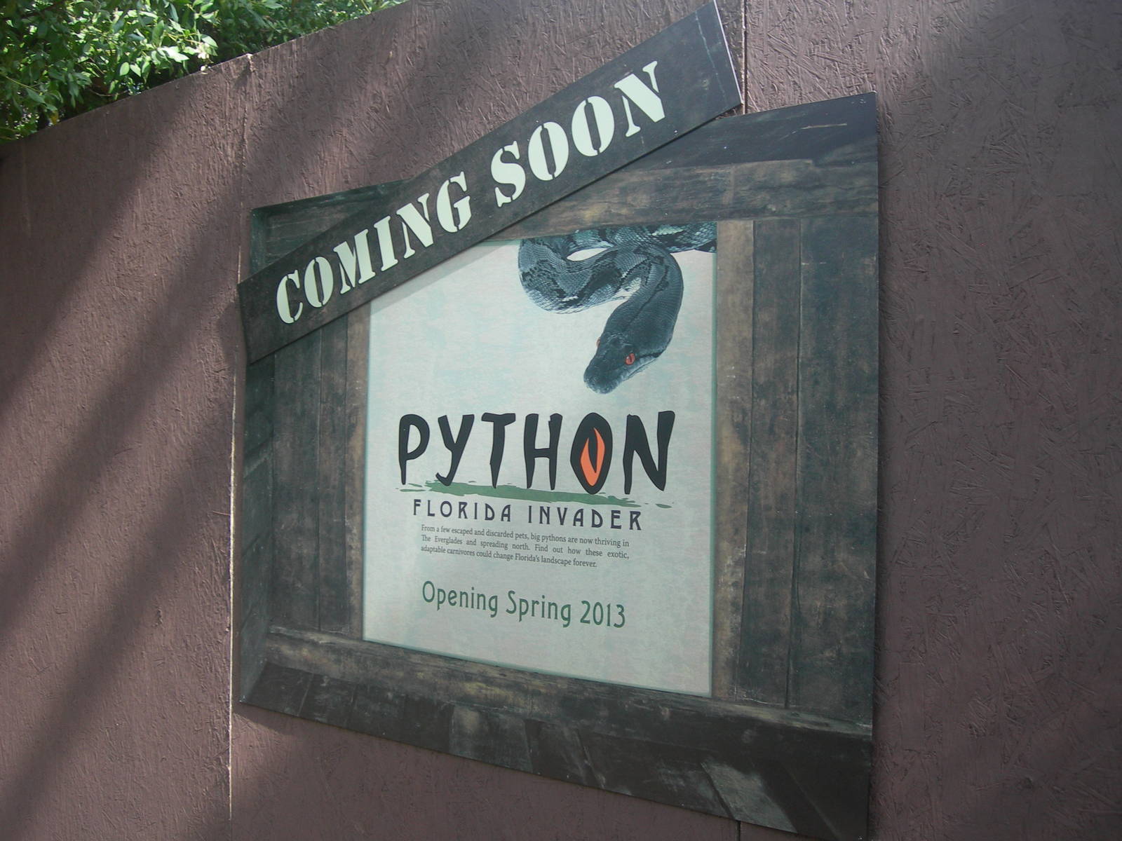 New Python Exhibit opening in Wetlands