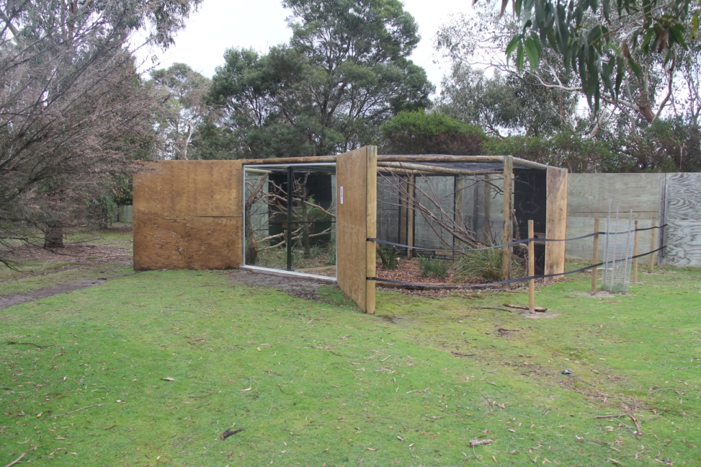 New Quoll exhibit at Moonlit Sanctuary