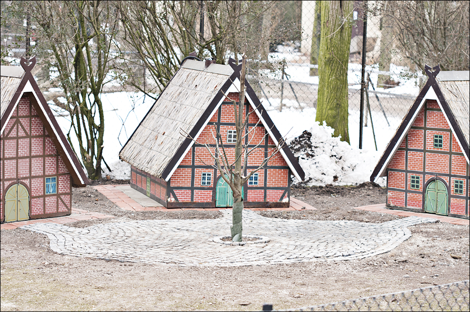 New rabbit exhibt at Hamburg