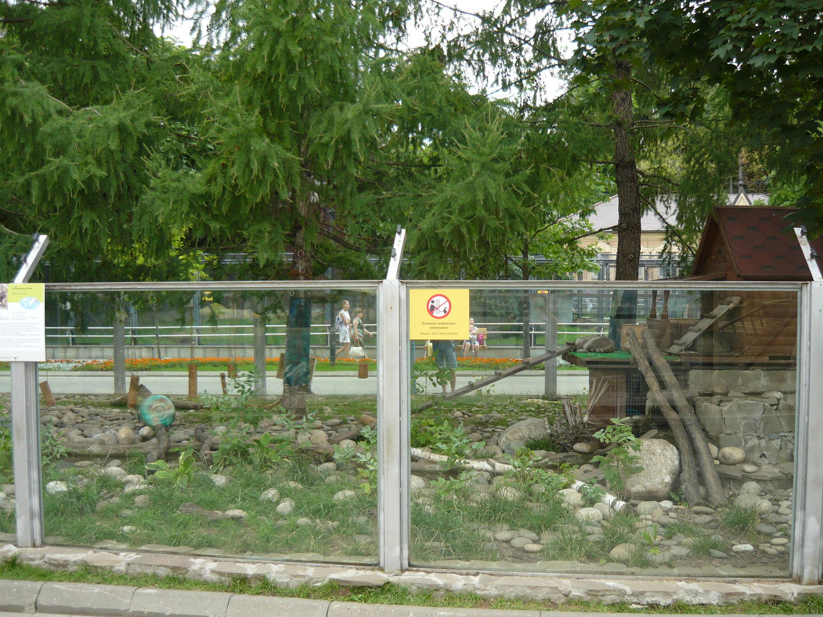 New Raccoon and Raccoon dog exhibit