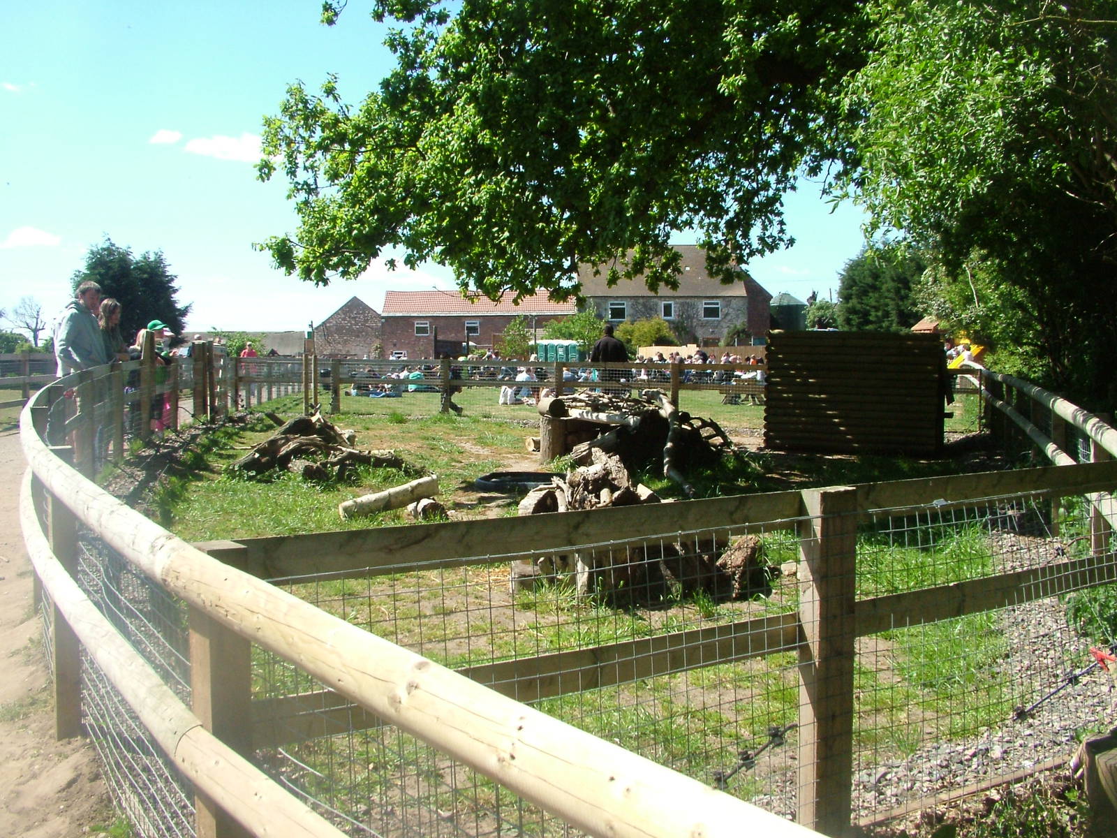 New Raccoon Dog Exhibit at Yorkshire WP 02/05/11