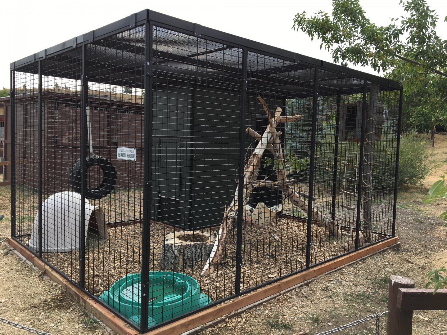 New raccoon enclosure