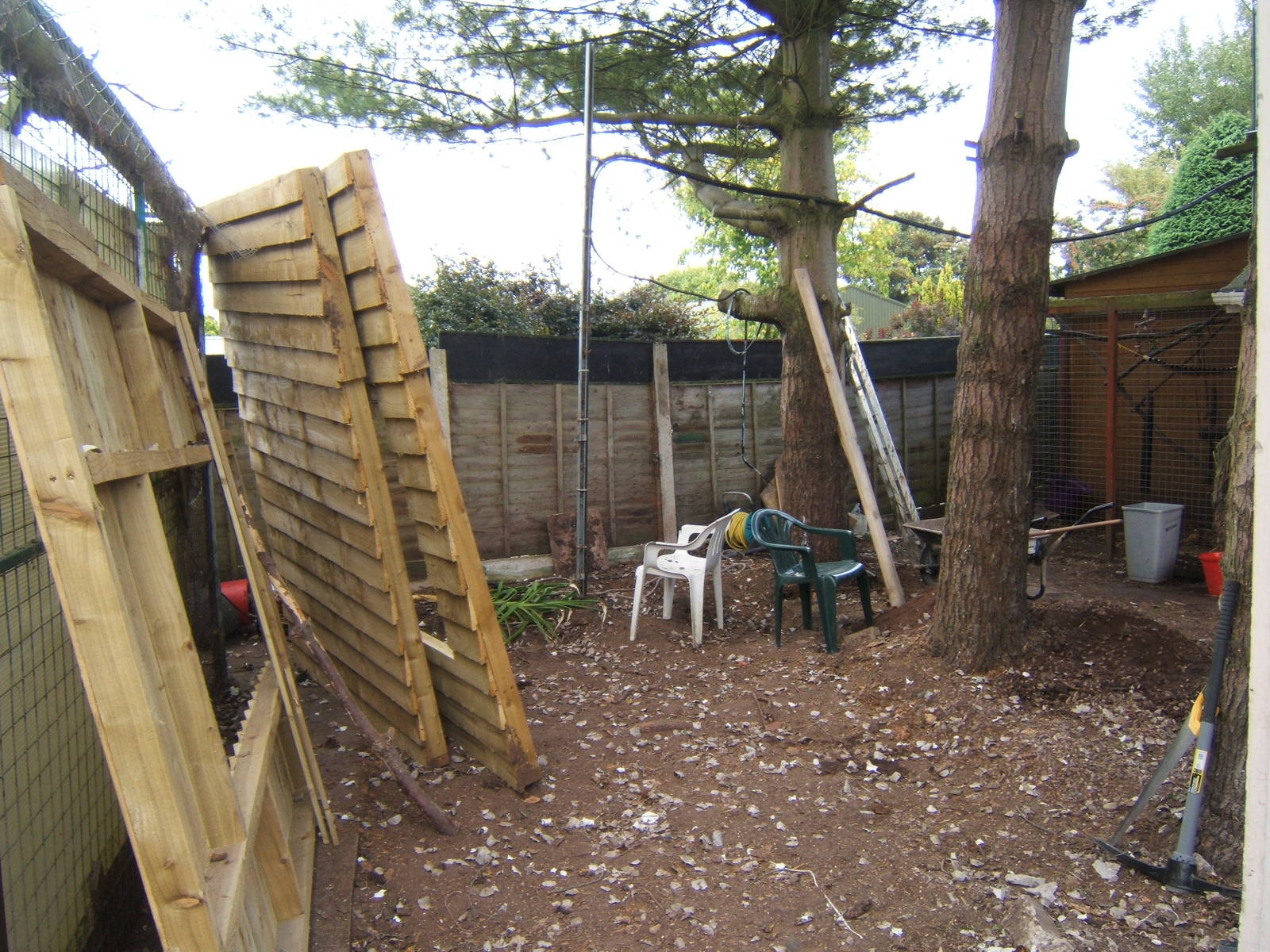 New Racoon enclosure construction