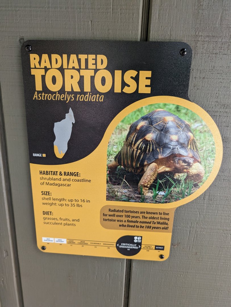New Radiated Tortoise signage