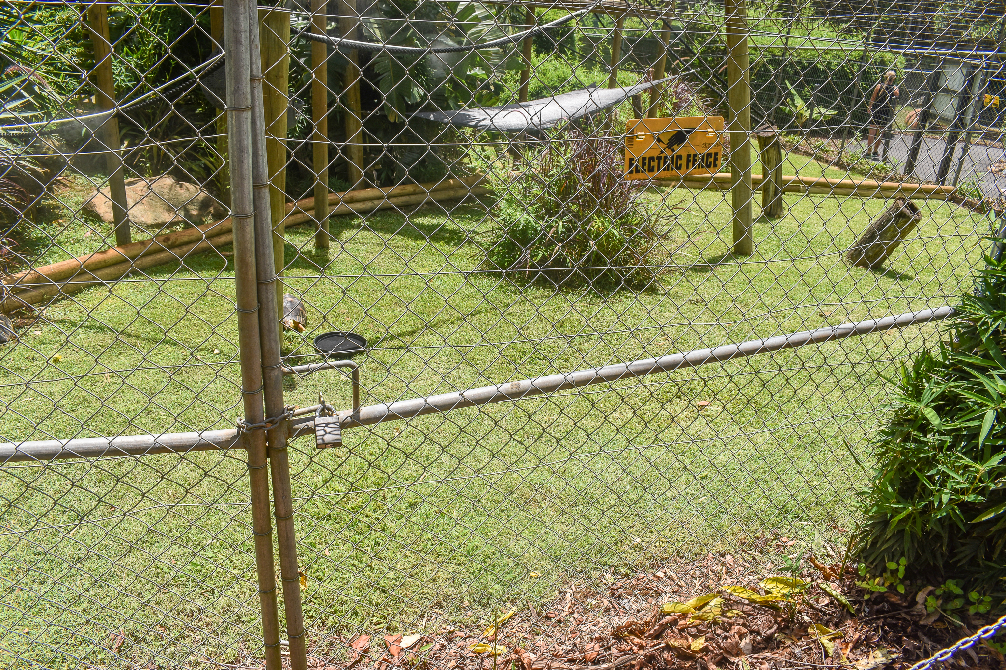 New Radiated Tortoise Yard