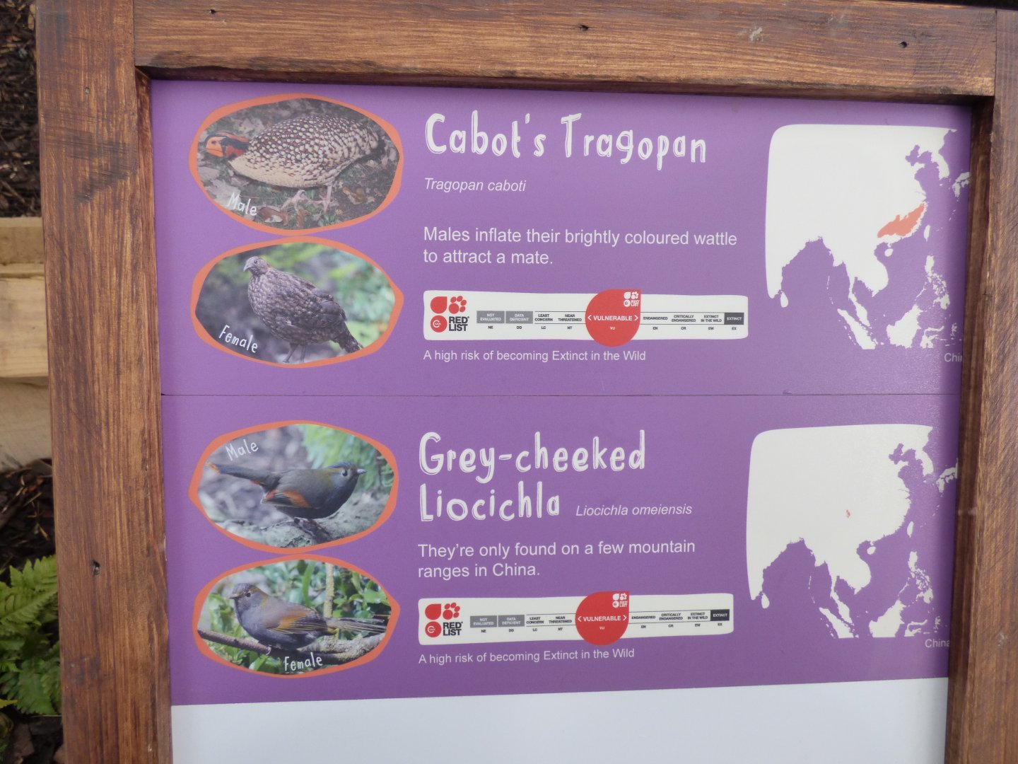 New Rainbow Aviary Signage