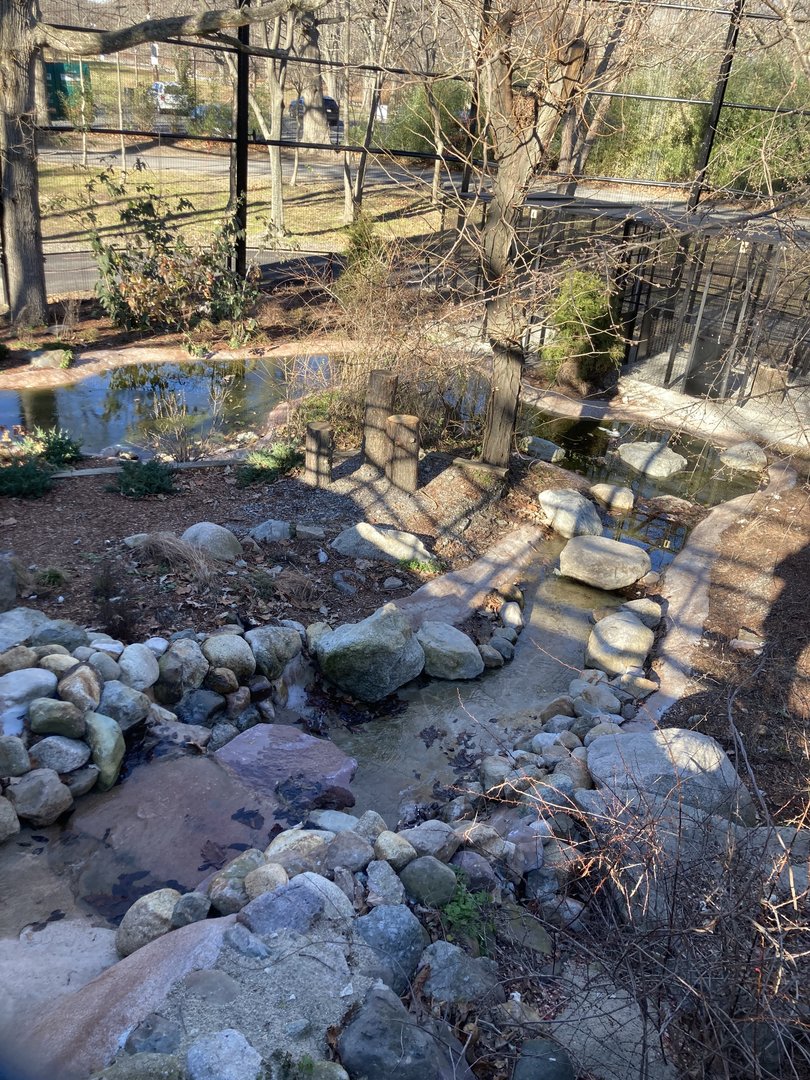 New- Raptor Ridge Waterfall