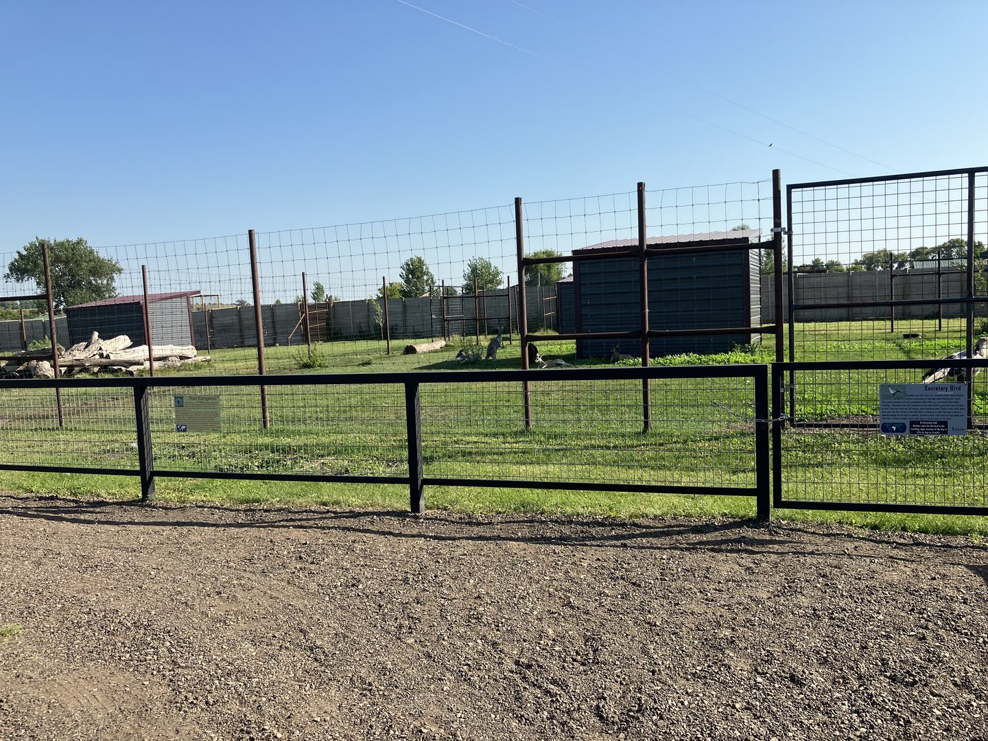 New Red-Crowned Crane Exhibit